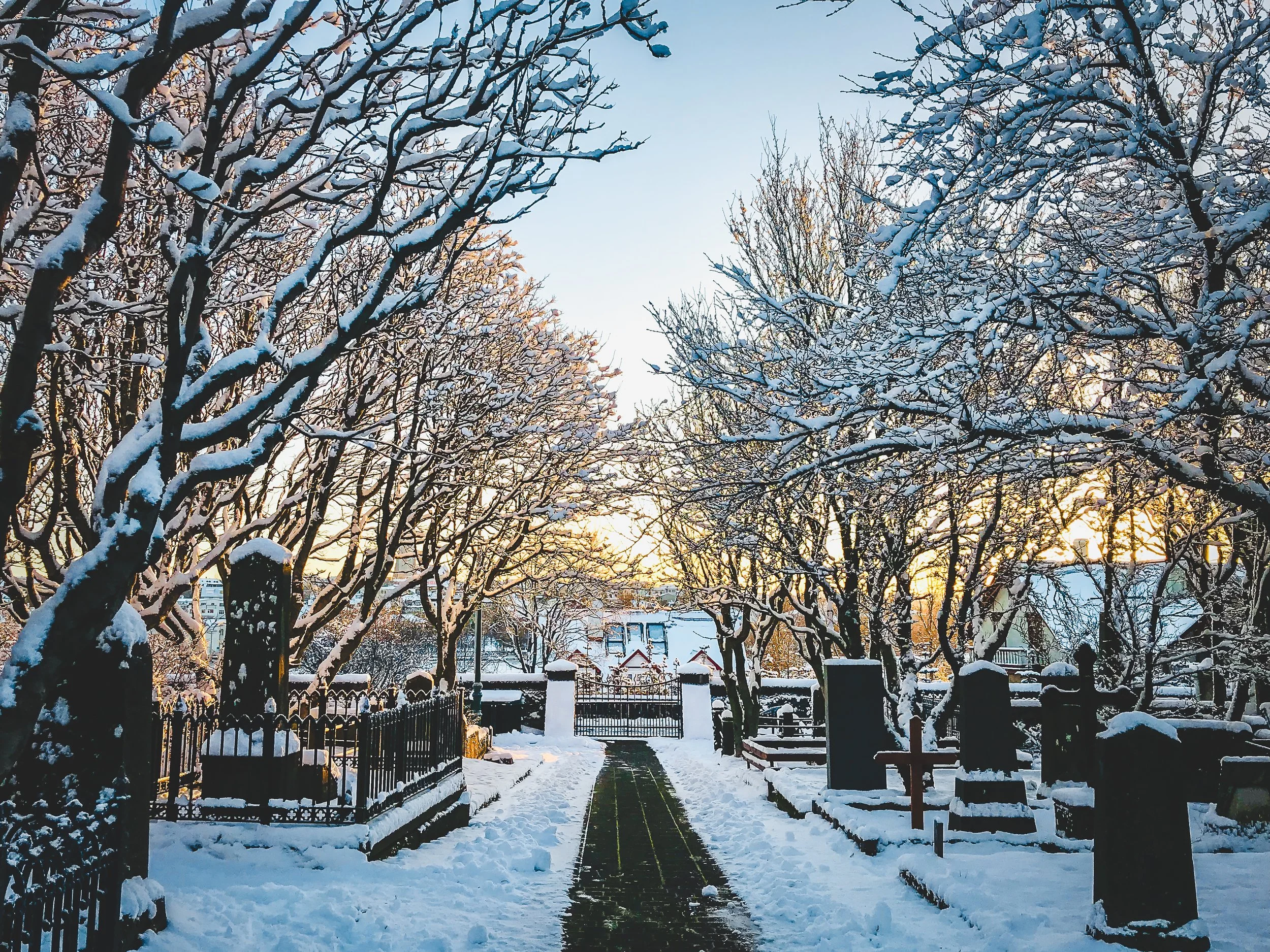 Holavallagardur_Cemetery_-03.jpg