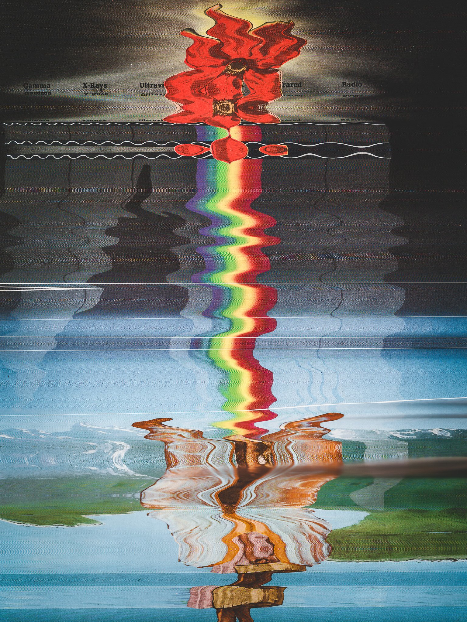 2026.07.12_ButterflyBaby.jpg