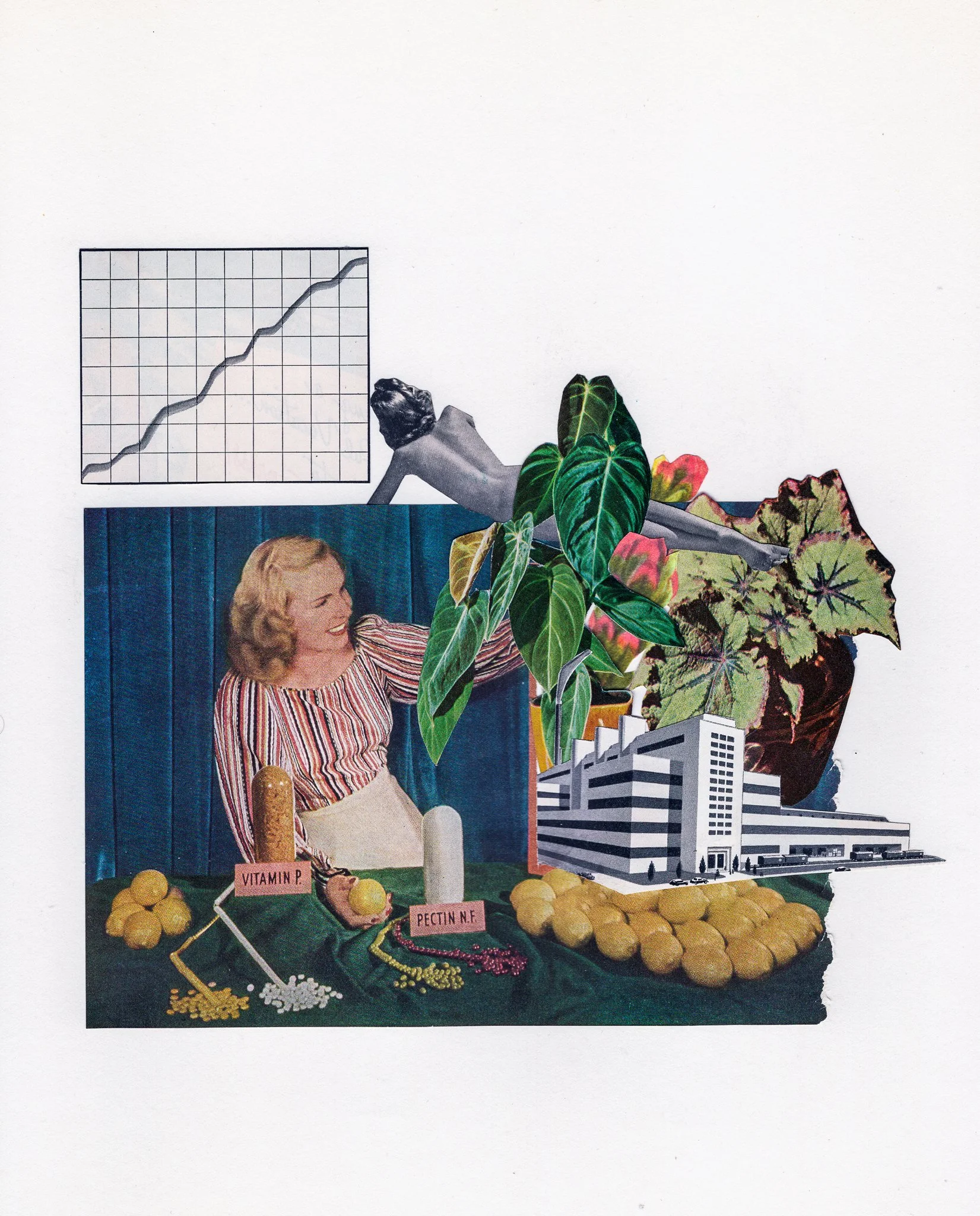 2026.02.10_Plant_Sml.jpg