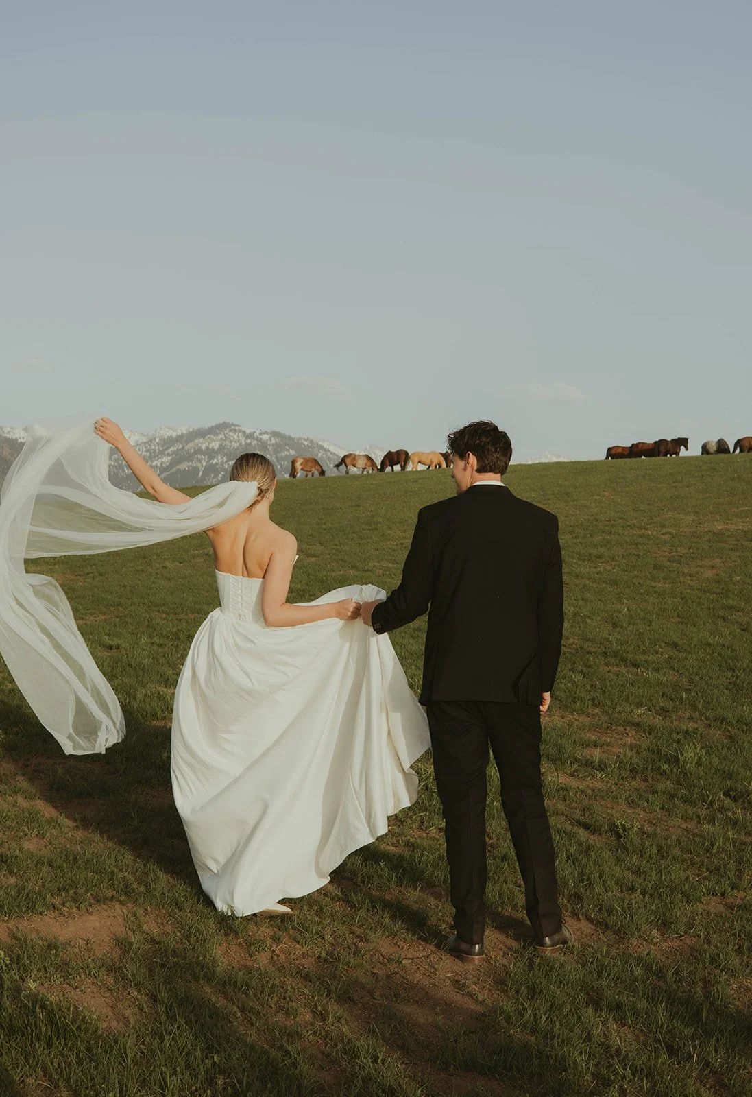 A bride and groom walking hand in hand through a green field with horses grazing on a hillside in the background, mountains and a blue sky overhead.