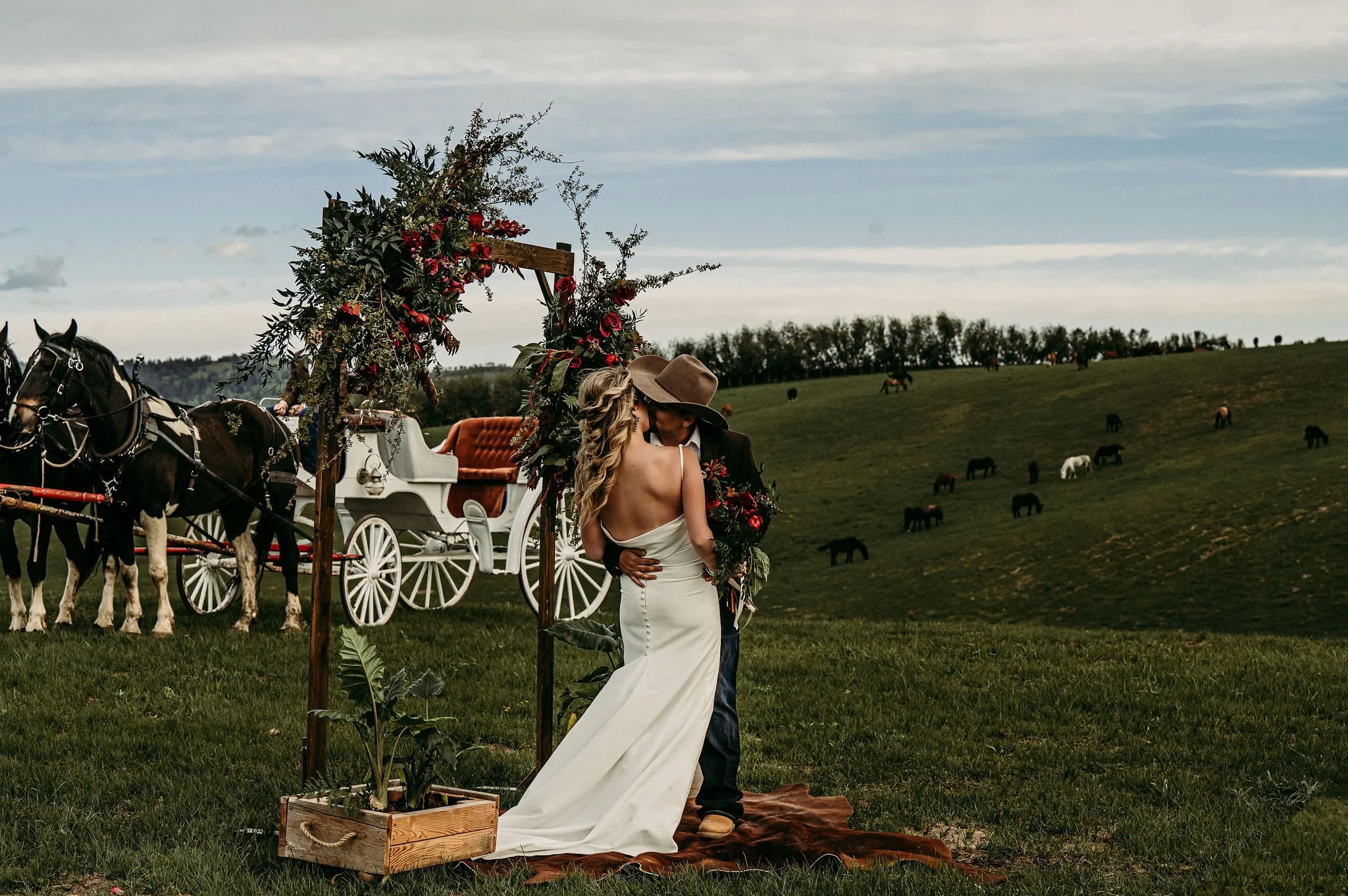 A couple sharing a kiss at an outdoor wedding ceremony in a grassy field with horses and a horse-drawn carriage in the background.