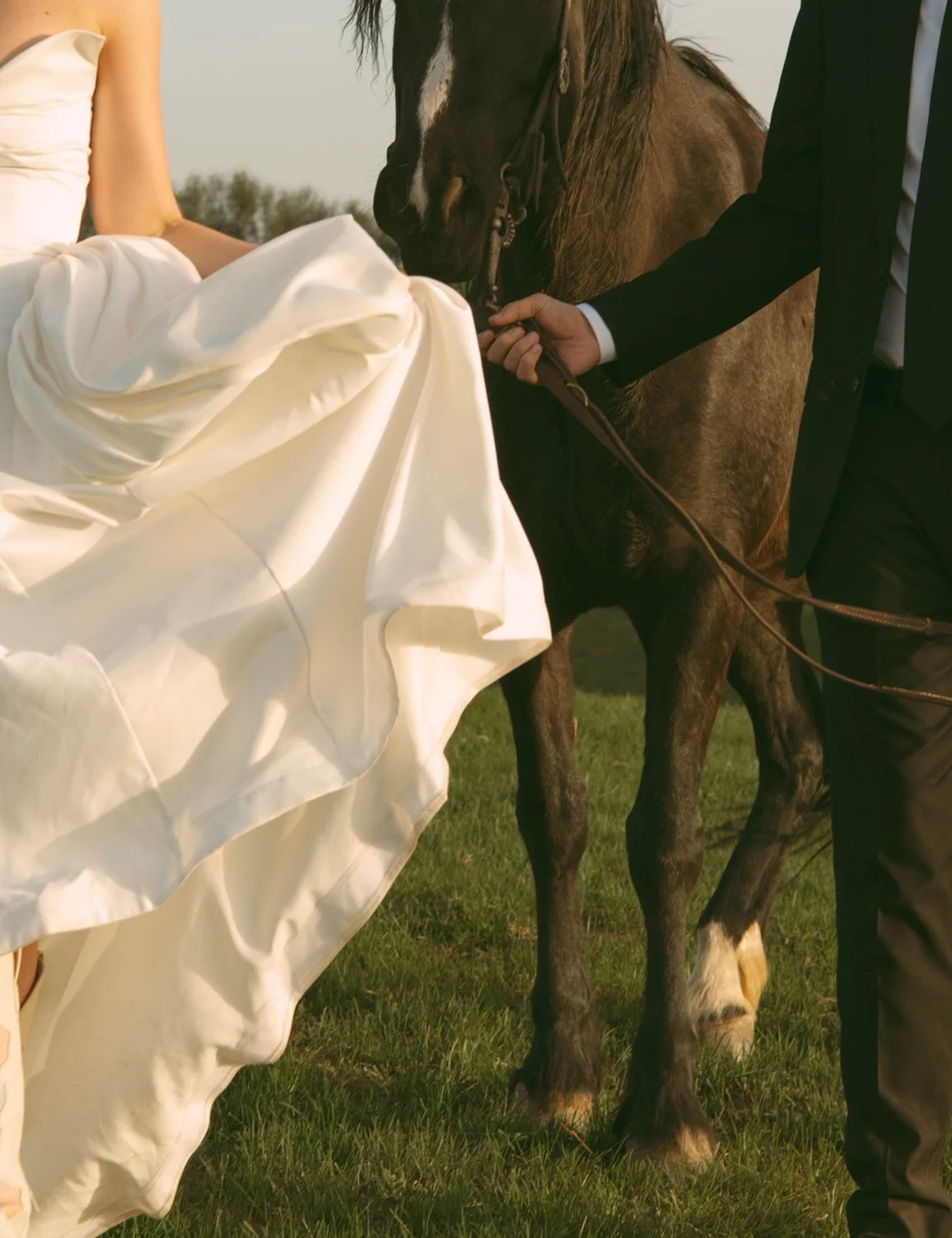 A woman in a white dress and a man in a suit are about to get married outdoors, with a horse in the background.