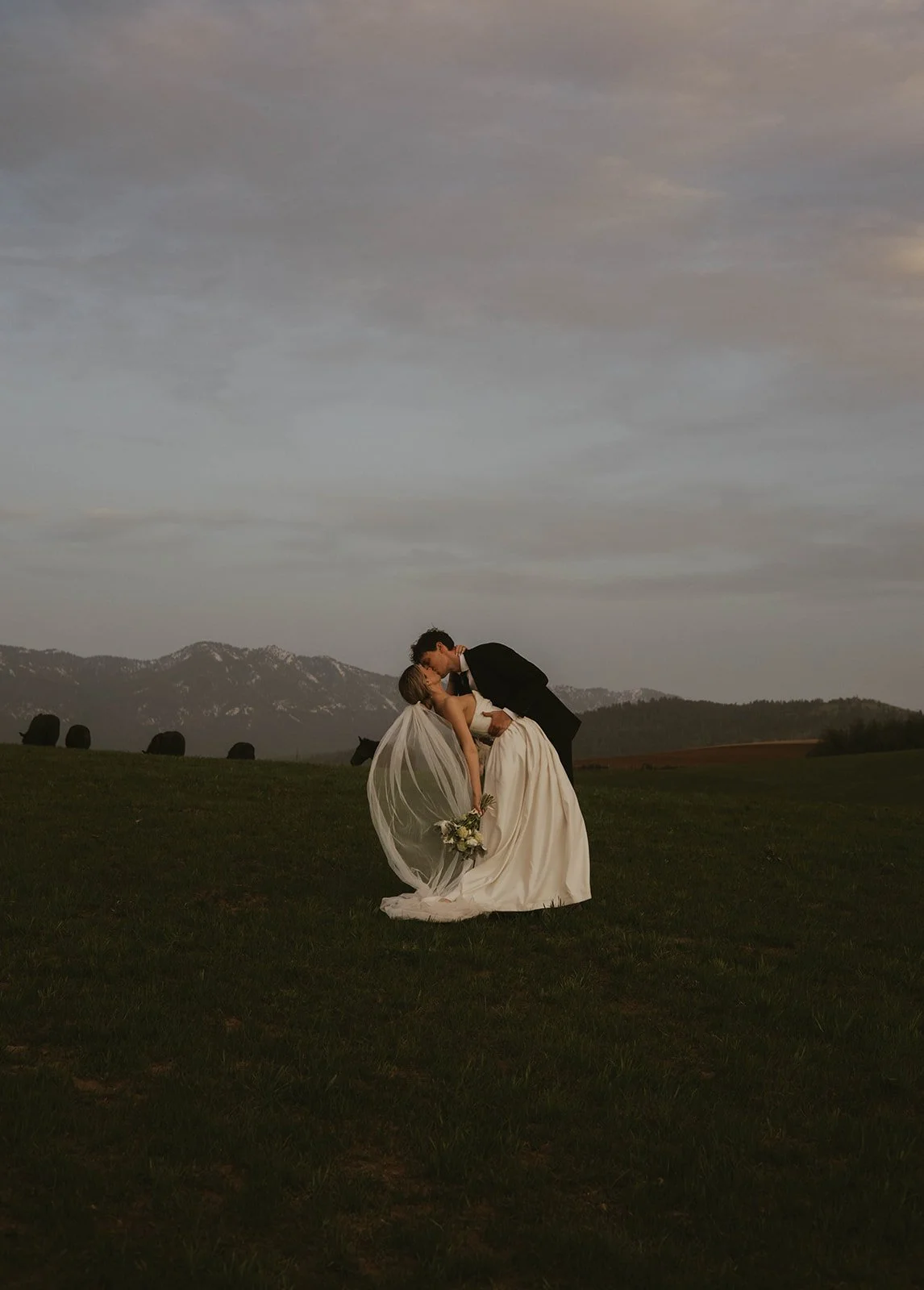 A bride and groom share a kiss in a grassy field at sunset, with mountains and a partly cloudy sky in the background.