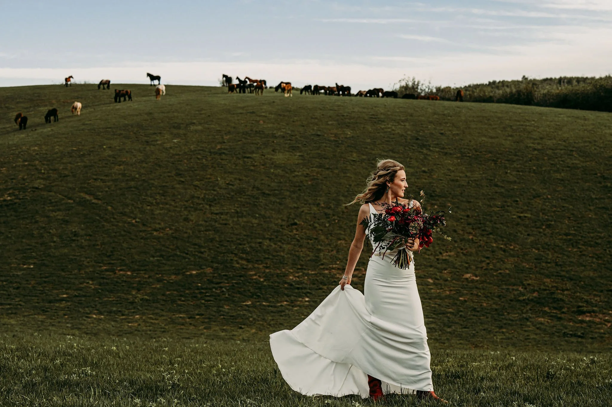 A woman in a white dress holding a large bouquet of red flowers walking across a grassy field with grazing horses on a hill in the background.