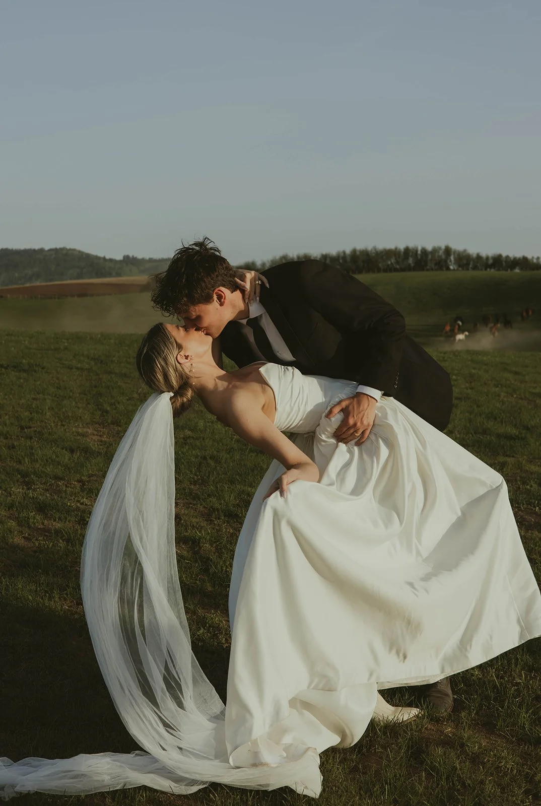 A groom in a black tuxedo dips a bride in a white wedding dress and veil for a kiss in a grassy field with hills and horses in the background.