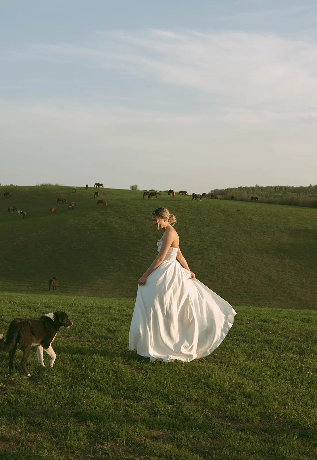 A woman in a white dress standing on green grass with a dog nearby in a rural landscape with a hill and grazing horses in the background under a partly cloudy sky.