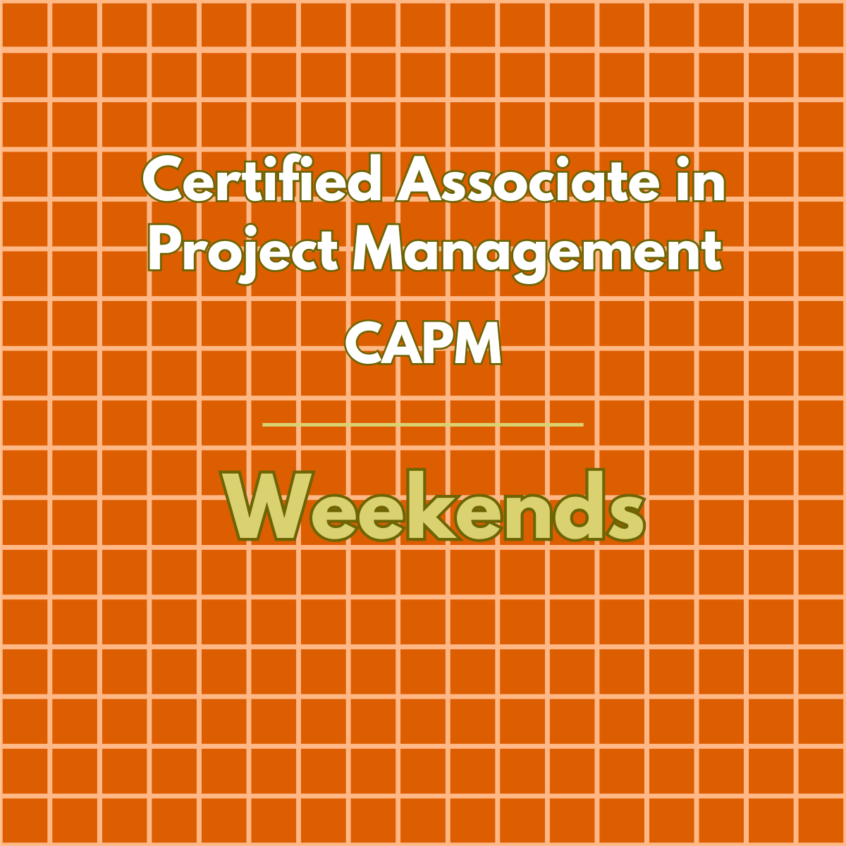 Certified Associate in Project Management (CAPM) Course | October 2027
