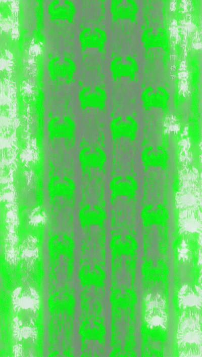 52390a65-f705-4354-8661-3fb0da58d6c9.gif