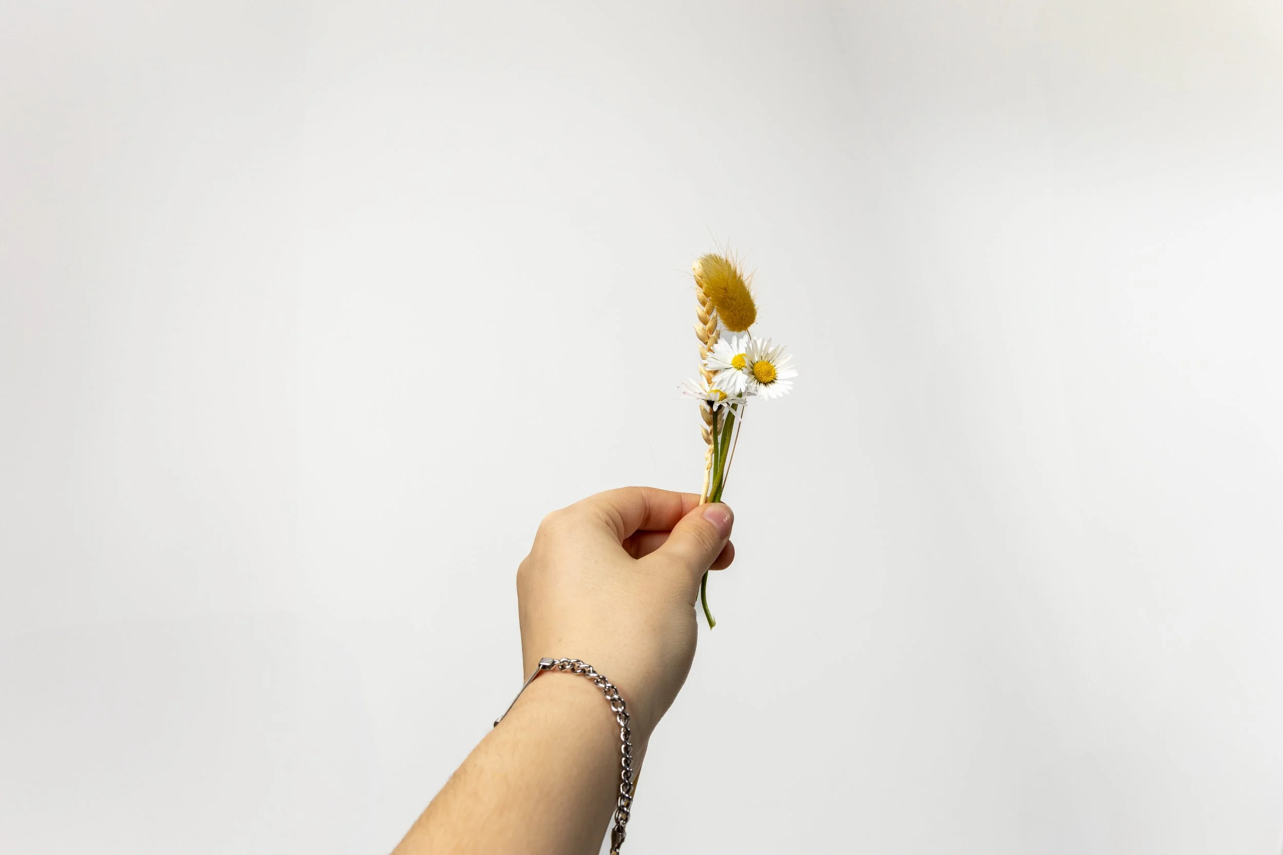 A hand holding a small bouquet of wildflowers, including daisies and grasses, against a plain white background.