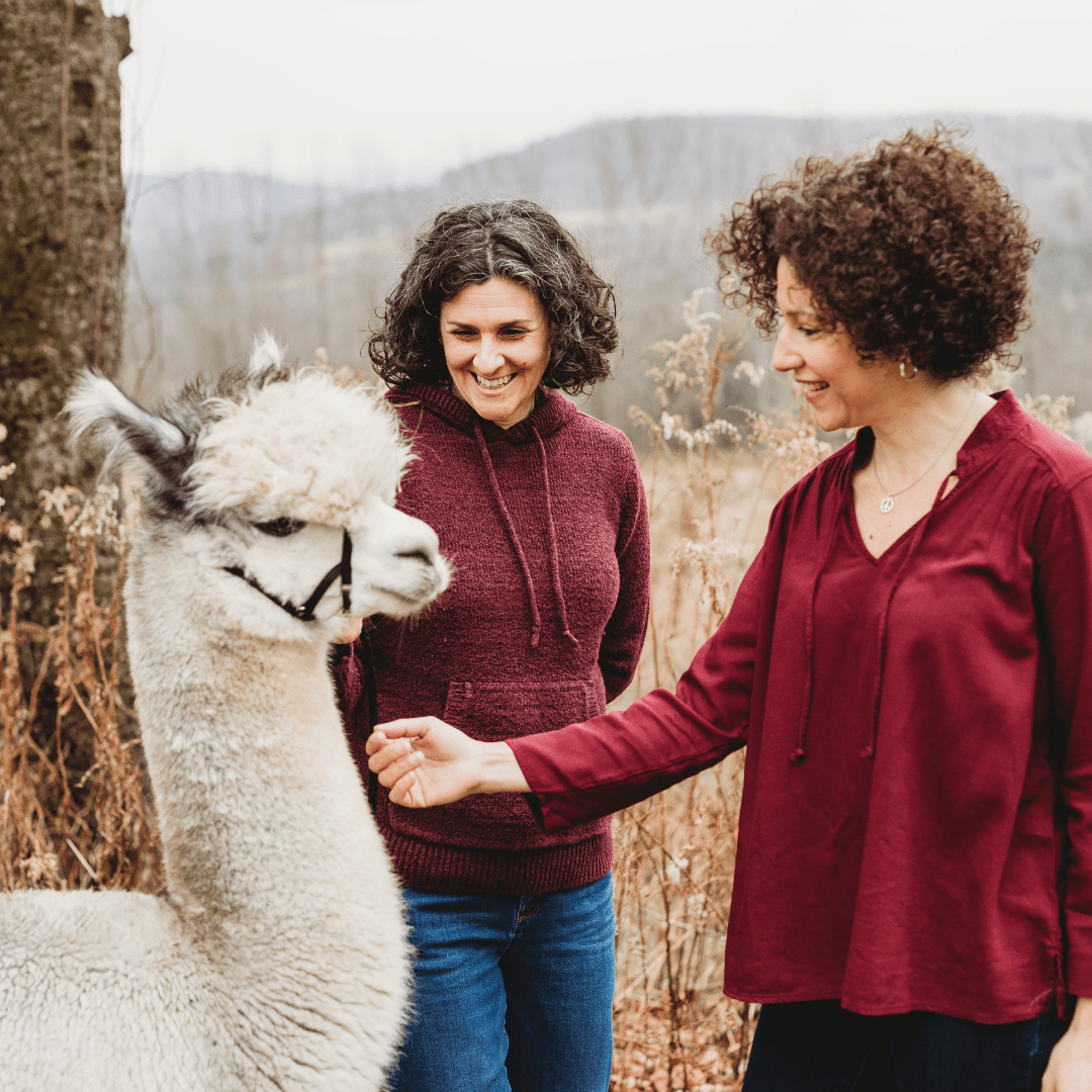 Danielle Gaebel_Jennifer Bitetto_Alpacas_Superfine Life.png