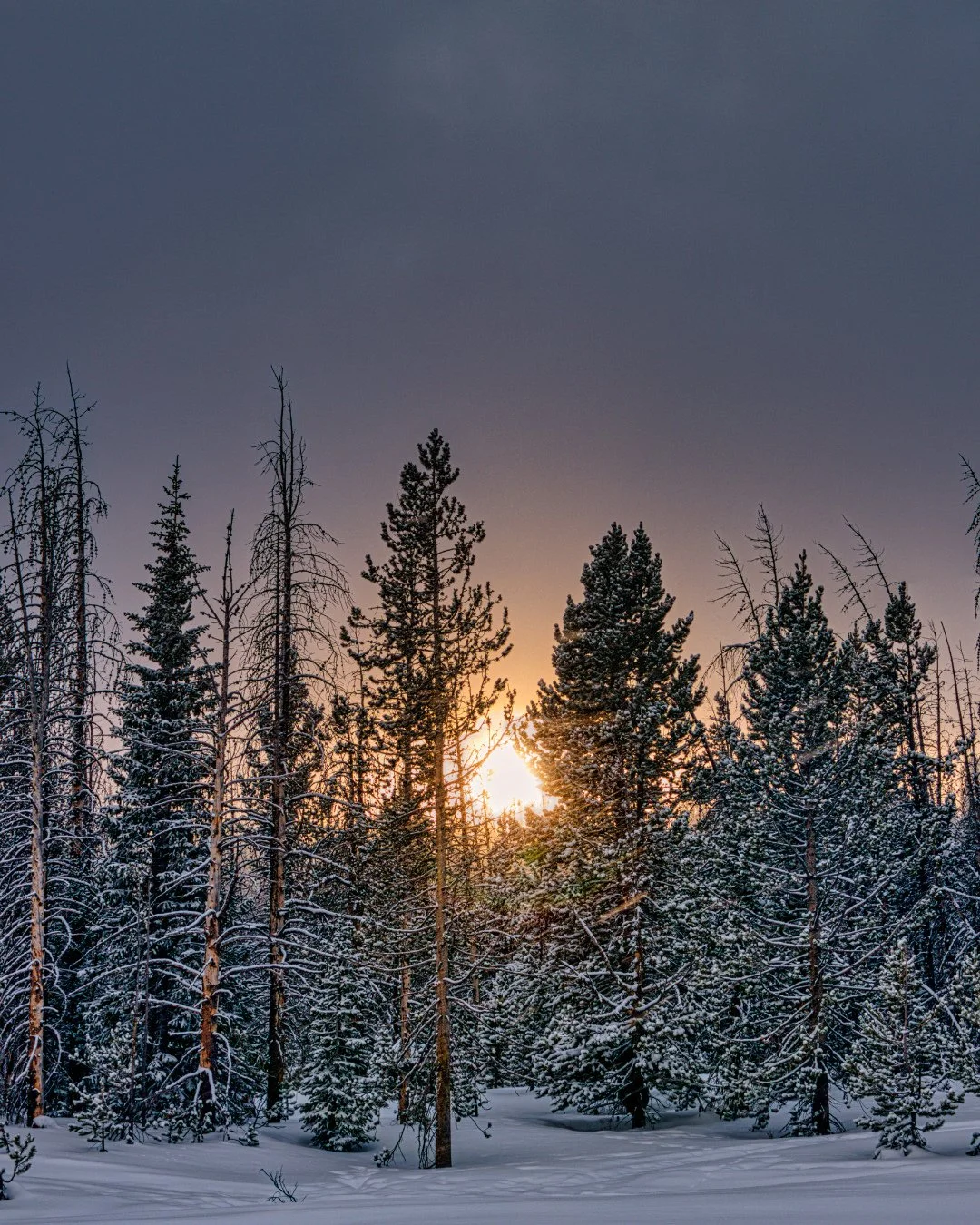 Sacred Space to Let Go, Begin Again, and Be Held ✨⁠
⁠
This week, we step into a powerful rhythm of release, intention, and renewal &mdash; a sequence designed to carry you out of your head, into your body, and toward the light.⁠
⁠
You&rsquo;re invite