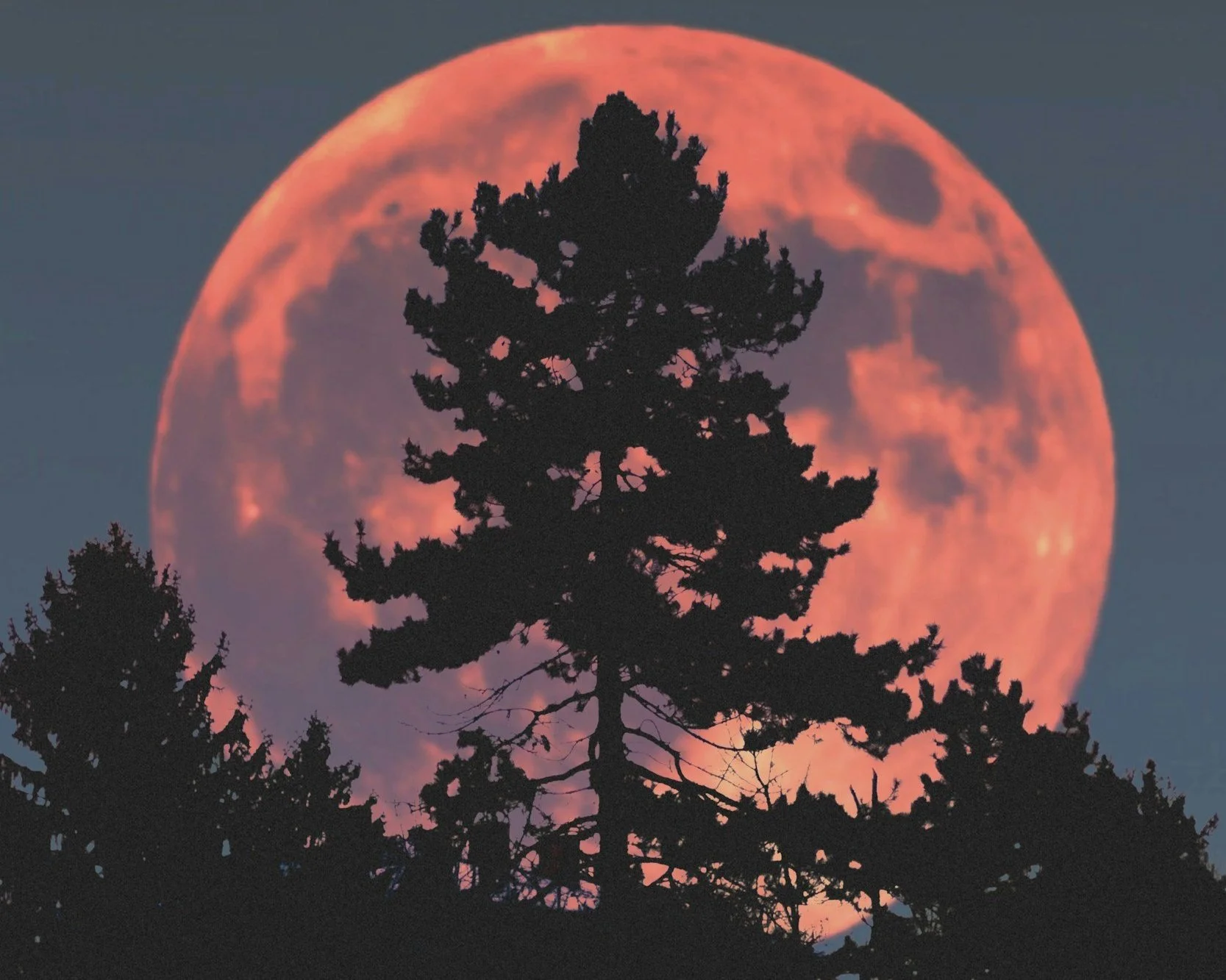 What If You're Not Behind?A Full Moon Reflection on Trust, Growth &amp; Letting Go