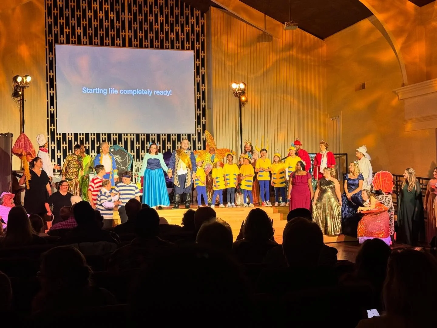 November was a jam packed month of performances!!! I&rsquo;m so incredibly proud of all my students working so hard to perform in such amazing shows🎉