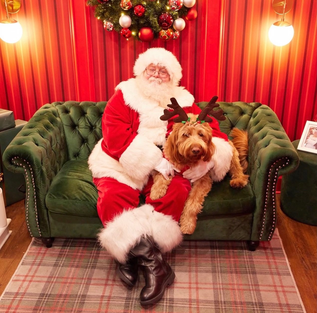 Celebrate the Paw-liday Season with us 🐾 Bring your cats and dogs for festive photos with Santa.

December 10th &amp; 11th | 4 to 7 p.m.