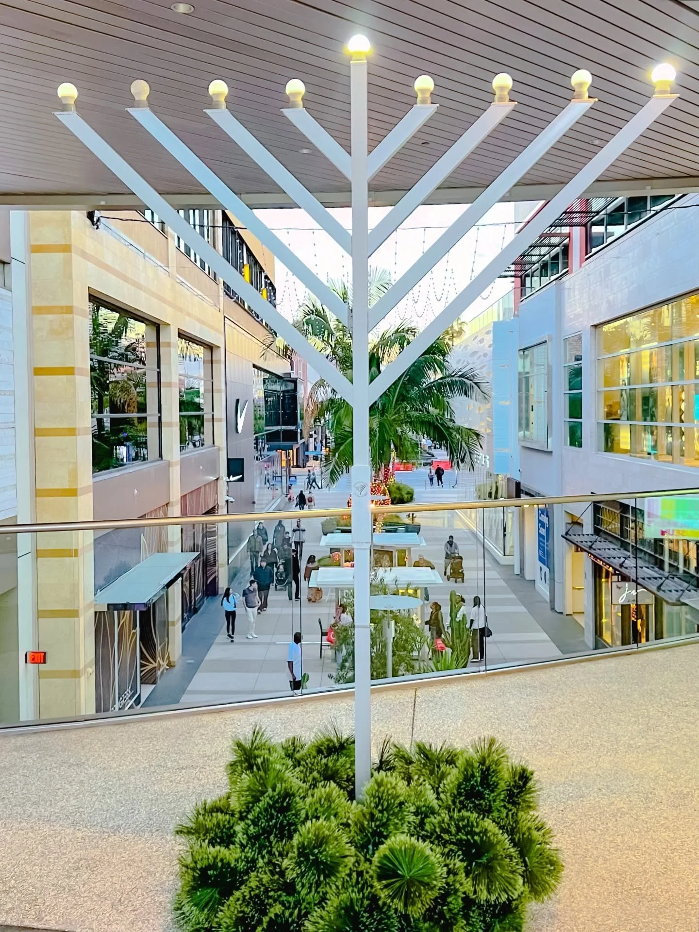 Celebrating the Festival of Lights. Happy Hanukkah from Santa Monica Place! 🕎