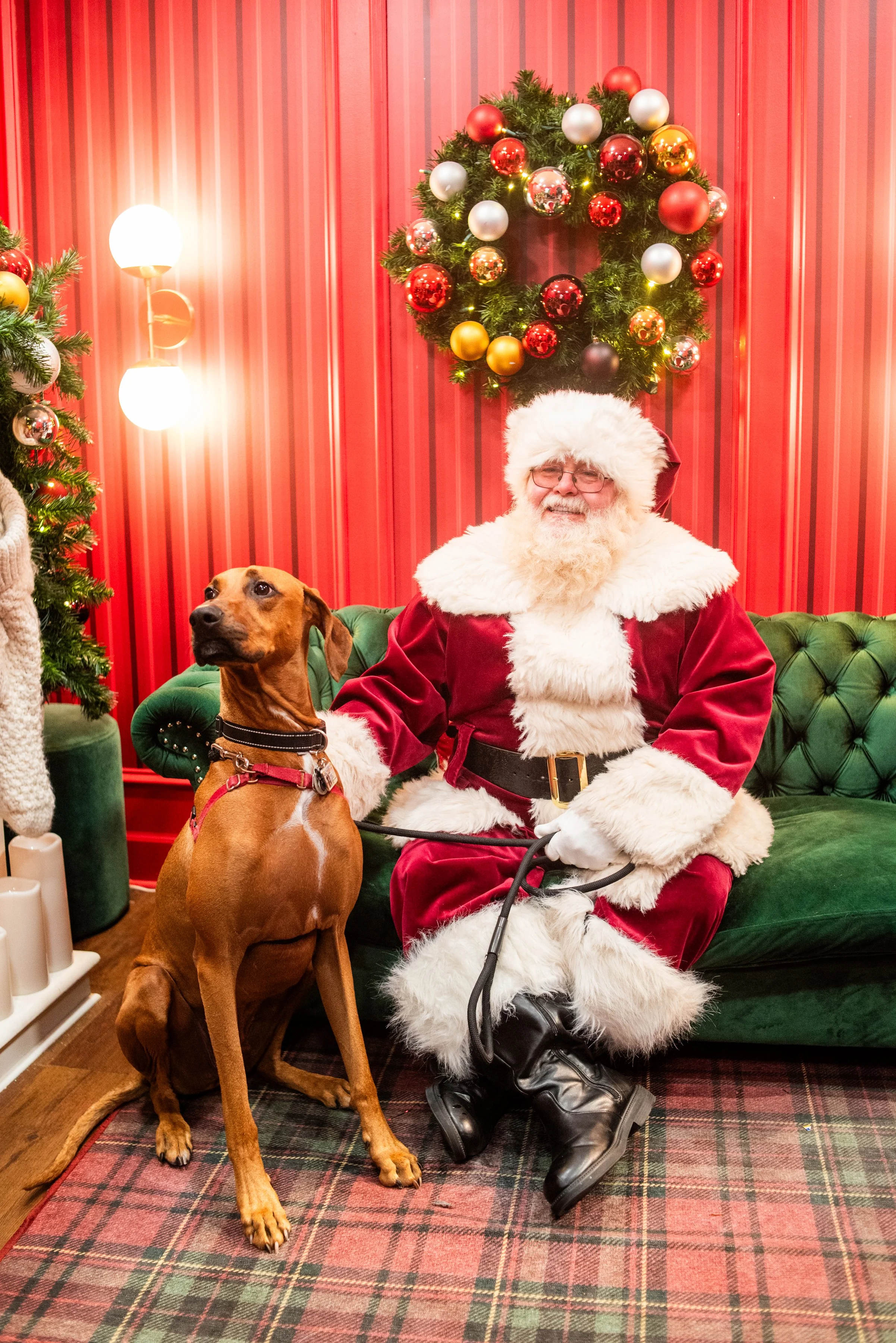 Full Res_Santa Pet Night_Dec 11th 2024_Annie Lesser-7803.jpg