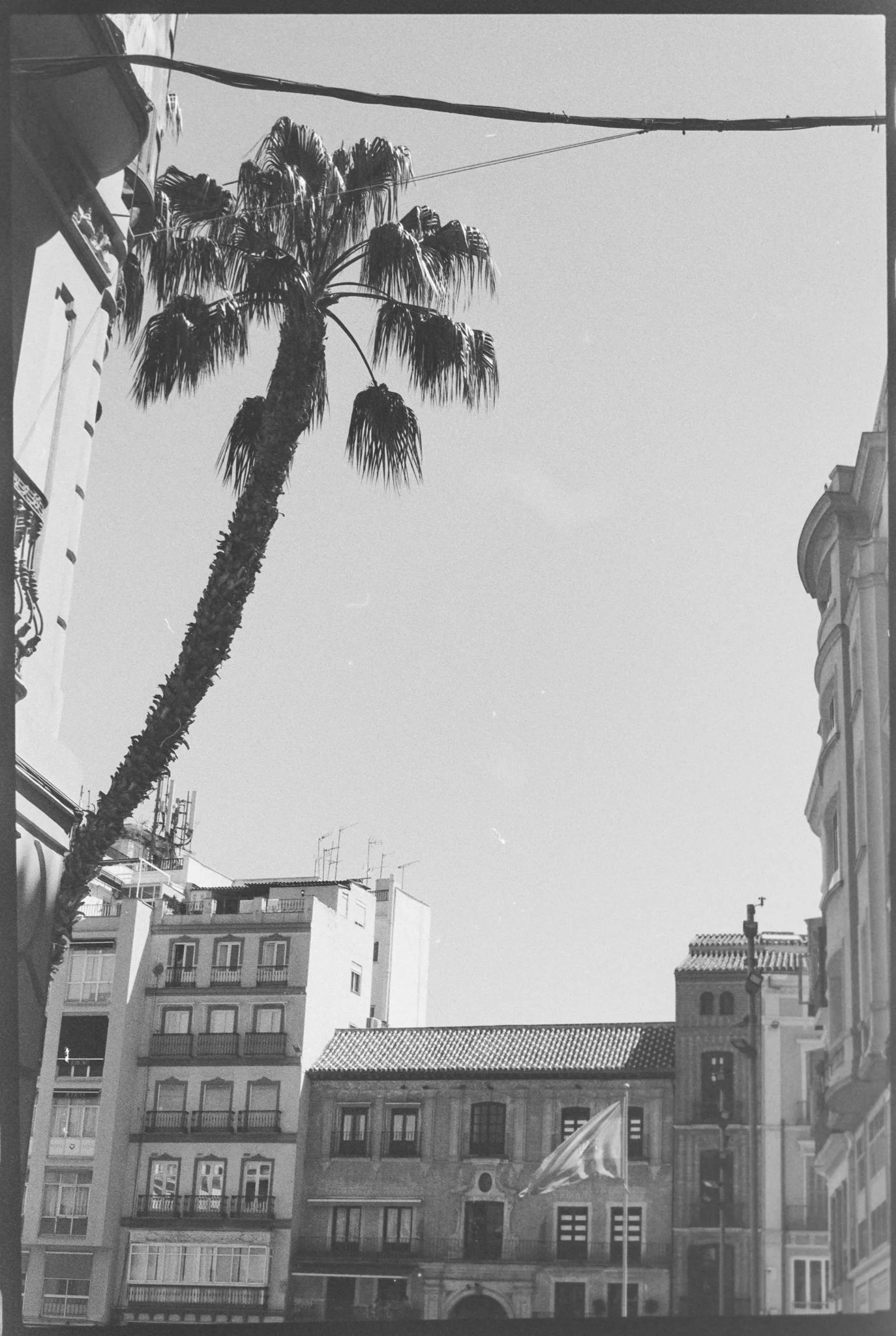 malaga 001-14.jpg