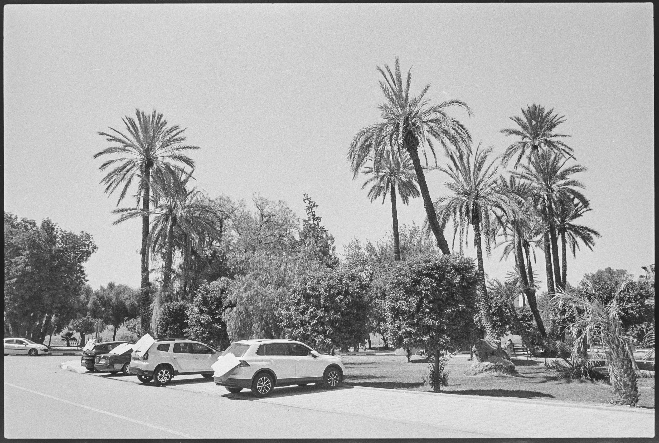 MOROCCO - 001-42.jpg