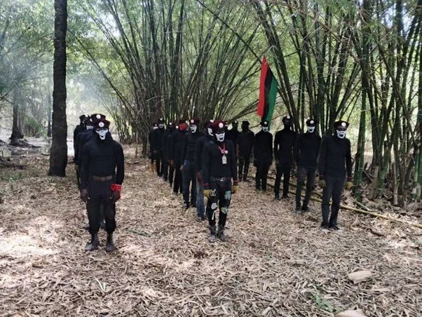 bdf.jpg