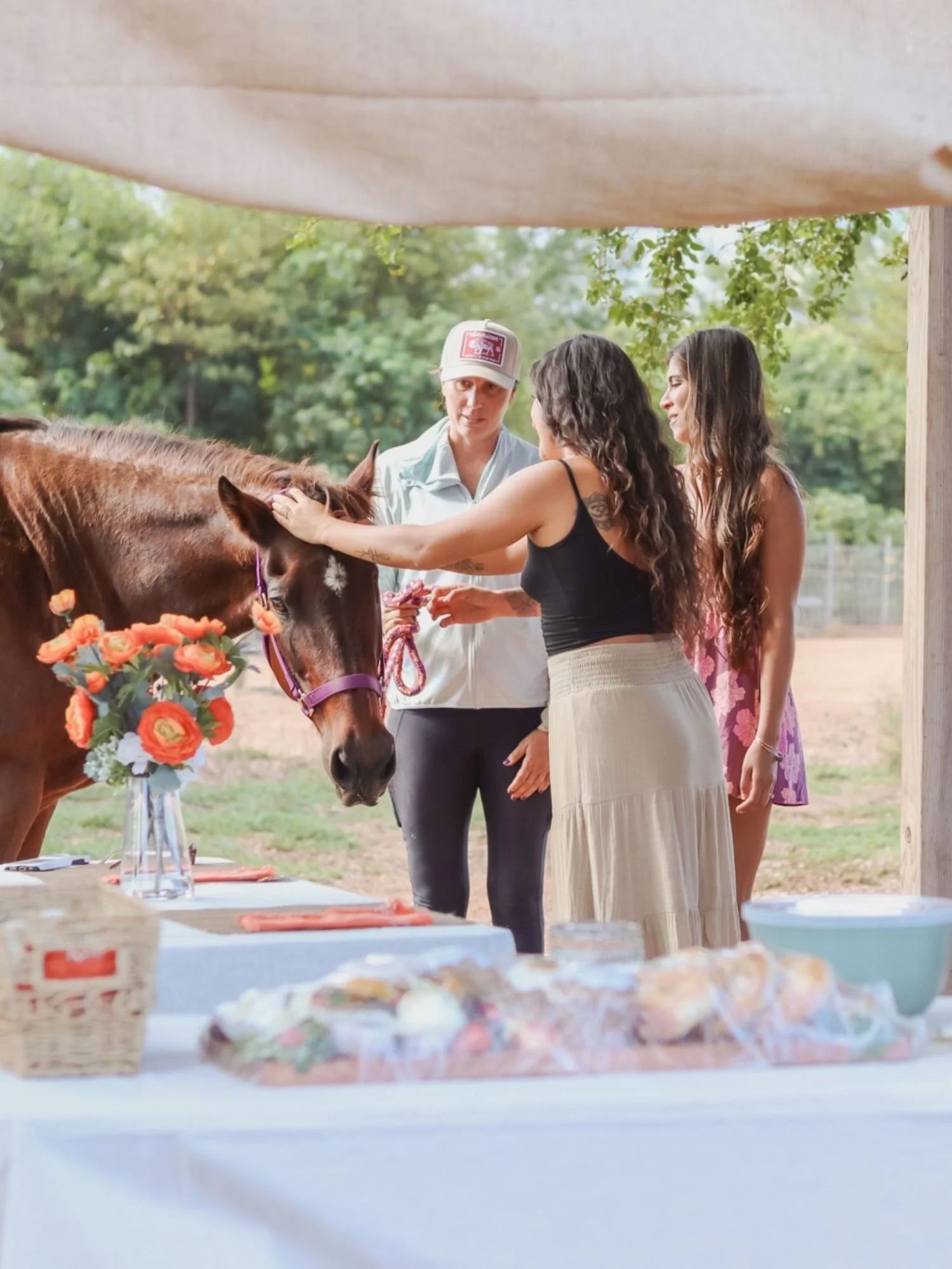 Guests petting rescue horse Mr. President near breakfast table styled with white tablecloths and a vase of orange flowers.