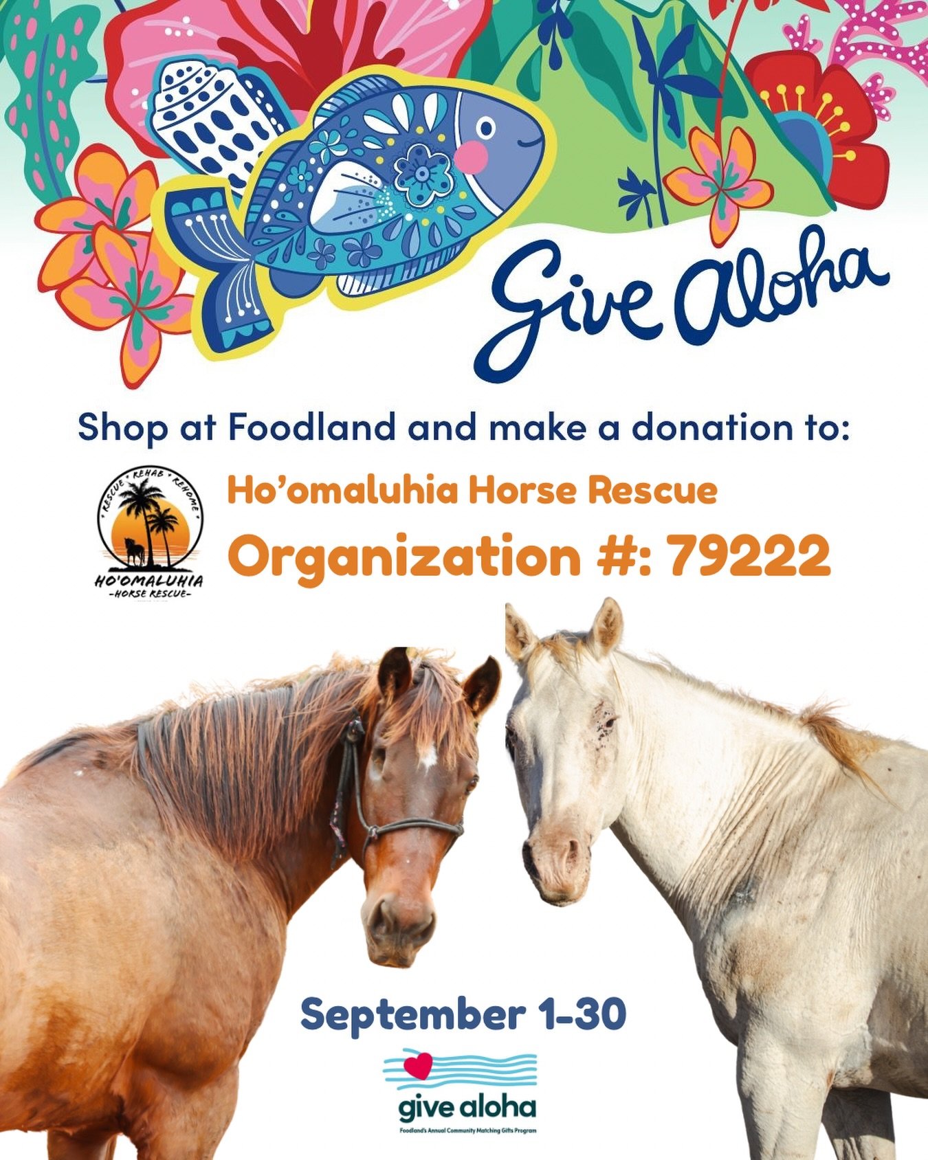 Give Aloha is back, and this year we&rsquo;re asking our community to really show up for Ho&lsquo;omaluhia. 🤍

We&rsquo;ll be honest: this can be a tough fundraiser for a small organization like ours. There are so many incredible nonprofits to choos
