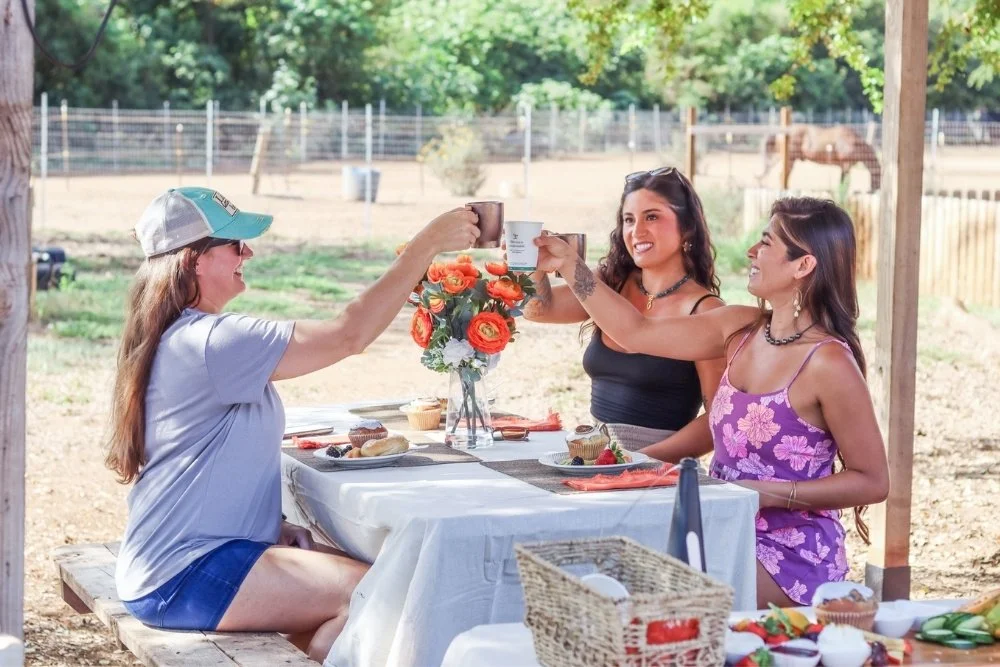 Three friends clinking their coffee mugs at the breakfast table, with a rescue horse grazing in the background.