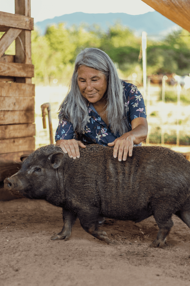 volunteer-with-pig.png