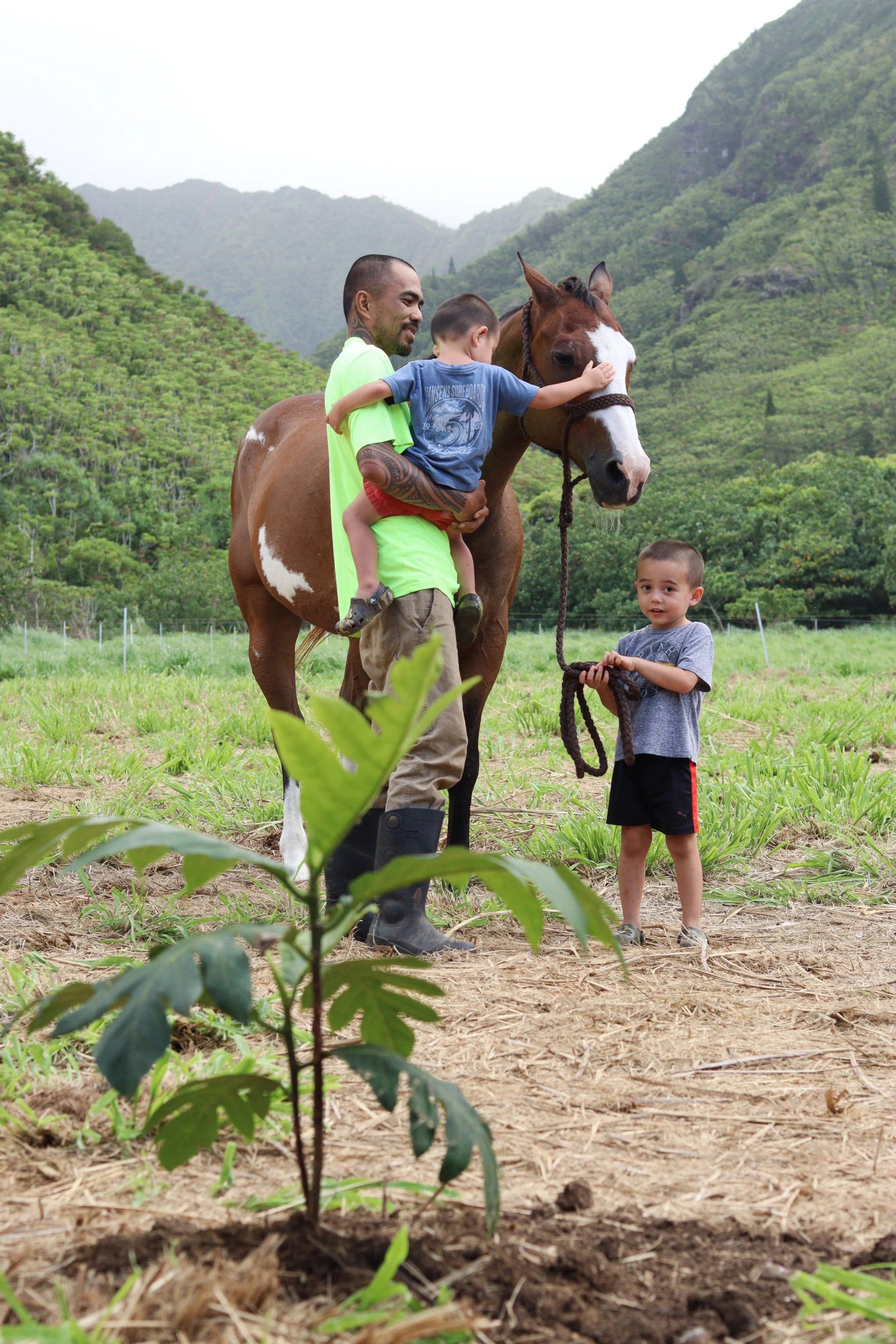 Father with his young sons leading and petting a horse at Ho'omaluhia horse sanctuary