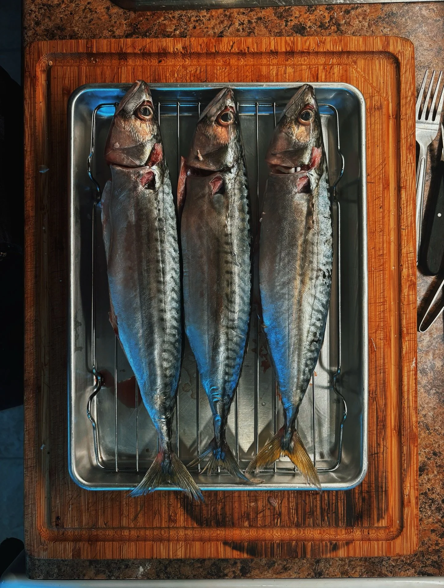 Dry aged mackerel for tasting menu.