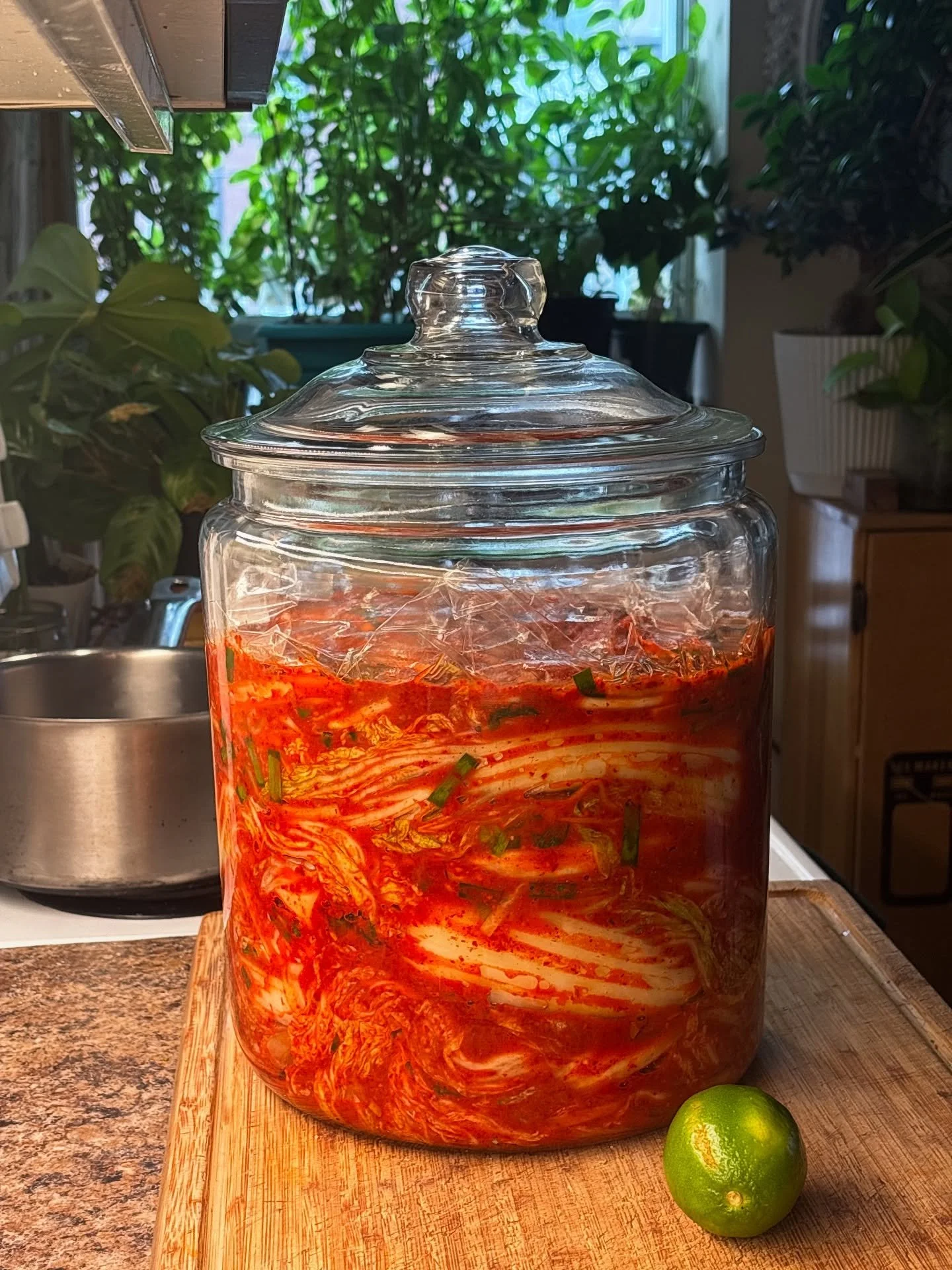 Kimchi for new menu. To ferment for a few days then to be put away.