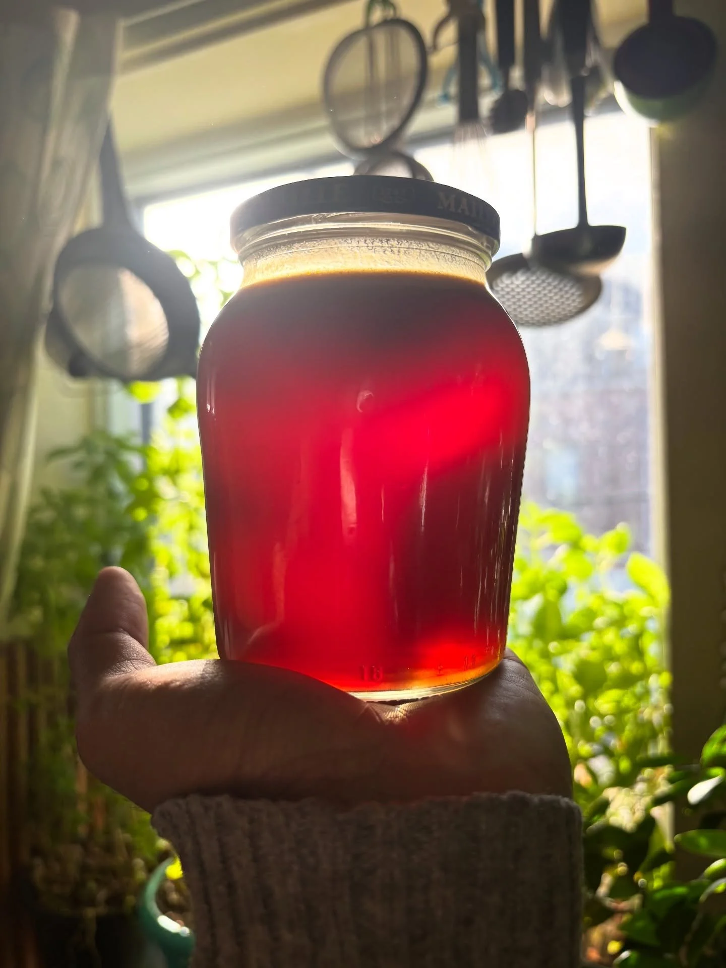 Throughout the history of my table, I have sought to explore food. Personally, trying - concepts and techniques to much dismay or success. On one such occasion - leftover fish bones of mackerel &amp; tuna with their viscera mixed with a LOT of salt, 