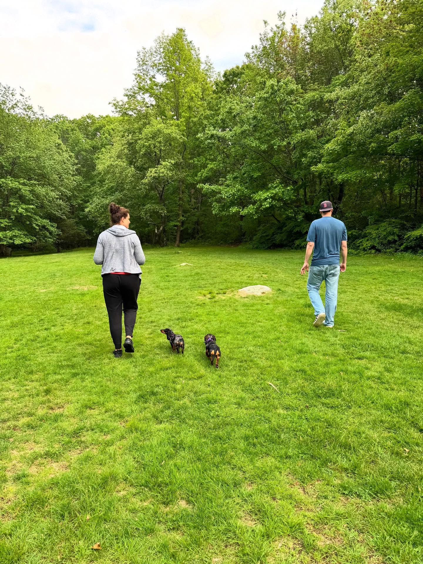Longest distance recalls with our favorite mini Dachshunds, Millie &amp; Margot! Managed to sneak in a few best friend snuggles too ❤️

#dogtraining #obedience #markertraining #ja #minidachshunds #dachshund #goodgirl #margot #mildred #ecollar #ecolla
