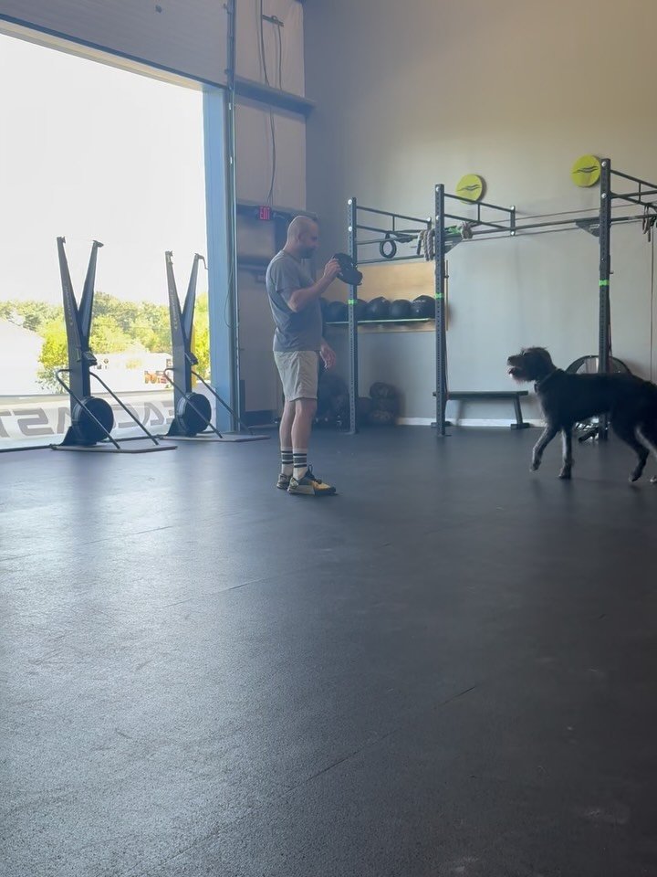 When you trained the gym dog and a quick obedience session is more important than open gym warm up 🤣

#willworkfortoys #obedience #markertraining #ja #dogtraining #gymdog #opengym #gus #goodboy #rescue #rescuedog #iamgreatbayk9