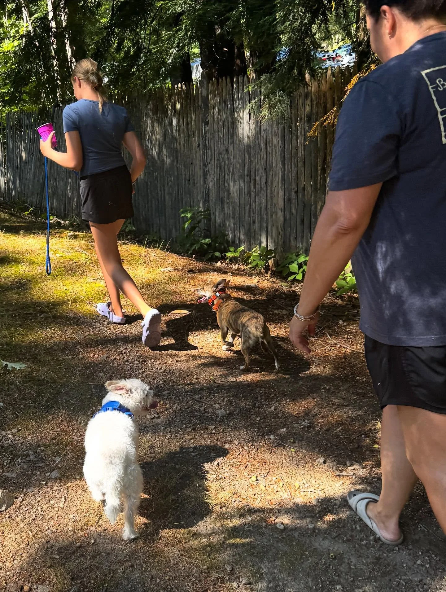 Ecollar foundation, leash work and yard perimeter day for Biggie &amp; Blinky! 

#dogtraining #obedience #markertraining #biggie #blinky #bros #goodboys #ecollar #ecollartraining #ecollartechnologies #iamgreatbayk9