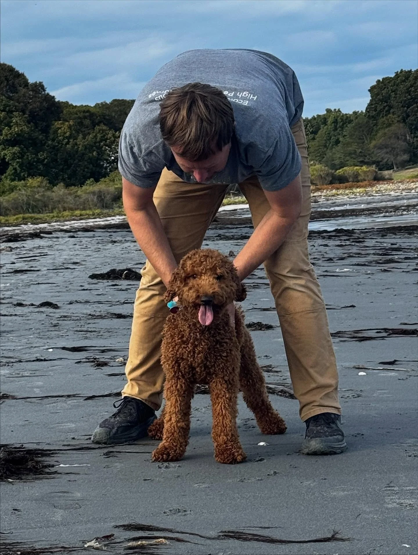 Arrow dog living his best life! We used his ecollar foundation to work leash manners, set a perimeter at the house and then let him explore and play at the beach. 

#dogtraining #obedience #ja #markertraining #doodle #arrow #bigfeelings #goodboy #iam
