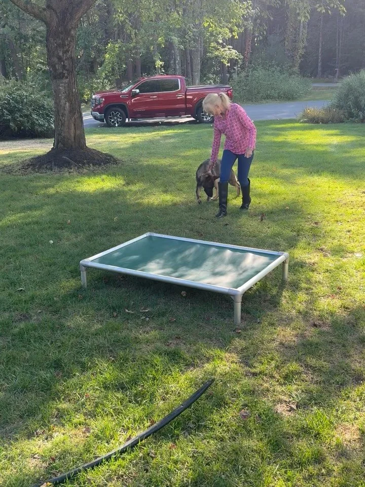 Fridays are for Rudy &amp; Floki! First session introducing &ldquo;place&rdquo; and we get a mid-week check-in video showing the boys proficient at the skill. We love to see it!

#dogtraining #obedience #markertraining #ja #rudy #floki #germanshepher
