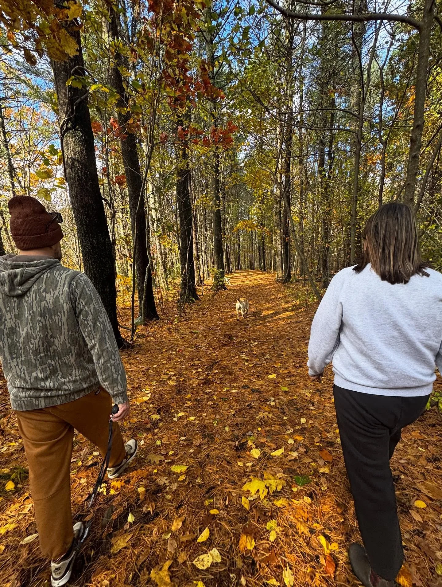 Mr. George conquering his off-leash obedience and control around distraction. We&rsquo;re so proud of you, pal!

#dogtraining #obedience #markertraining #yes #george #ecollar #ecollartraining #ecollartechnologies #goodboy #yellowlab #yellowlabrador #