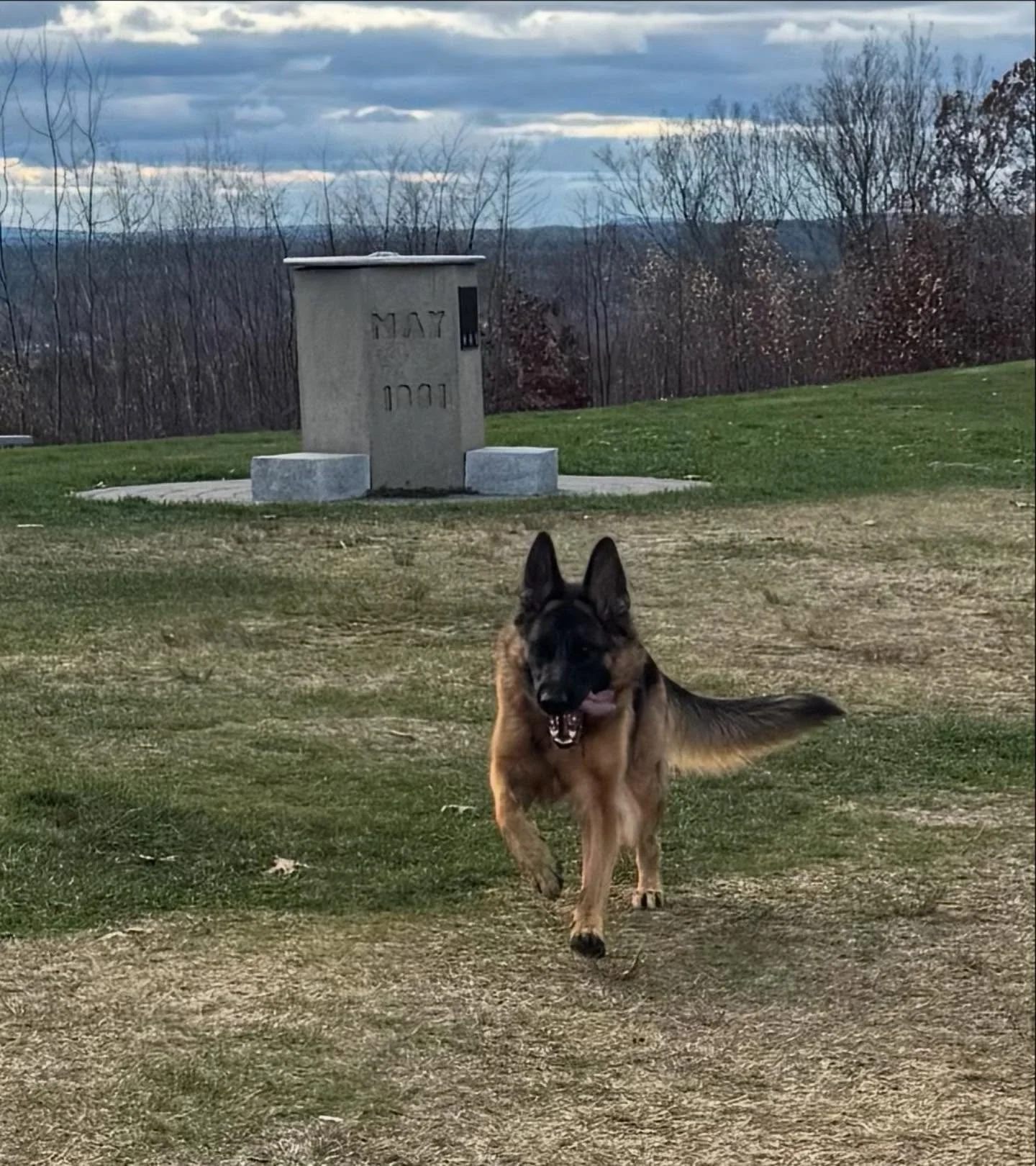 Mission: get Rhea off-leash and loving life, ✅! We&rsquo;re so proud of this pretty girl and her humans for trusting their training and taking their skills to the next level. Nothing makes us love what we do more!

#dogtraining #obedience #markertrai