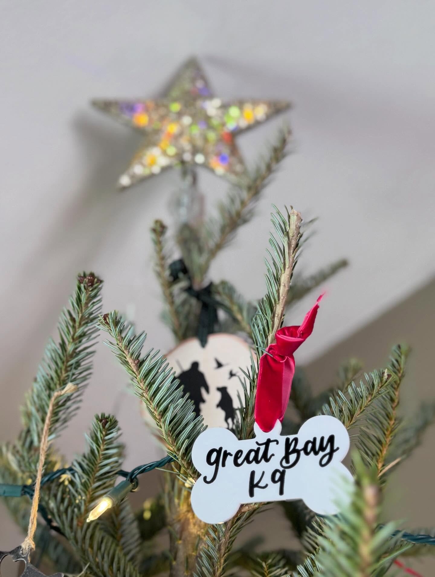 Merry Christmas from our family to yours!

#dogtraining #obedience #markertraining #happyholidays #iamgreatbayk9