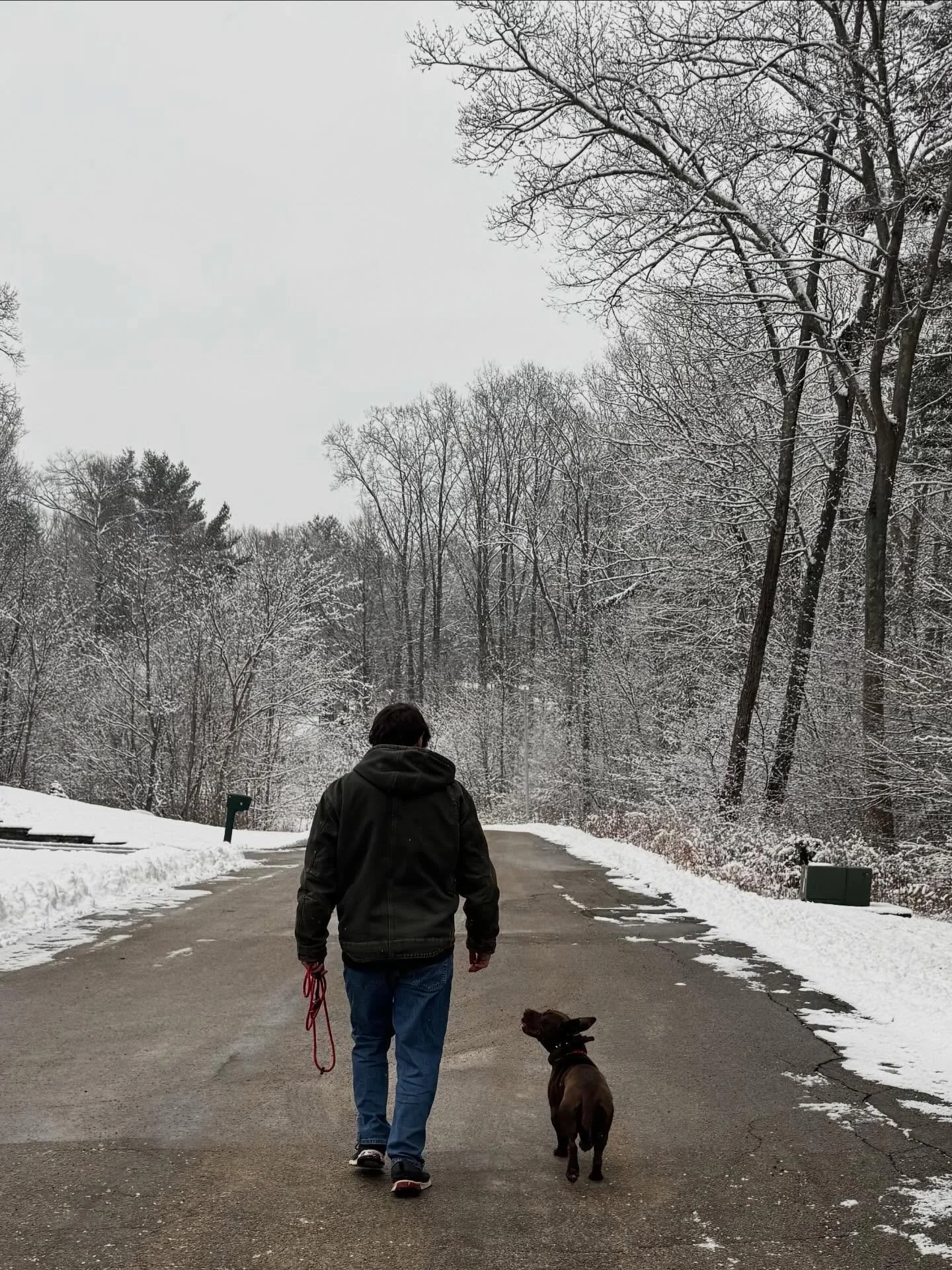 Ecollar foundation day for Coco! Got this sweet girl working leash manners, leash walking, recalls, outdoor obedience and a little taste of the off-leash life.

#dogtraining #obedience #markertraining #coco #iamgreatbayk9