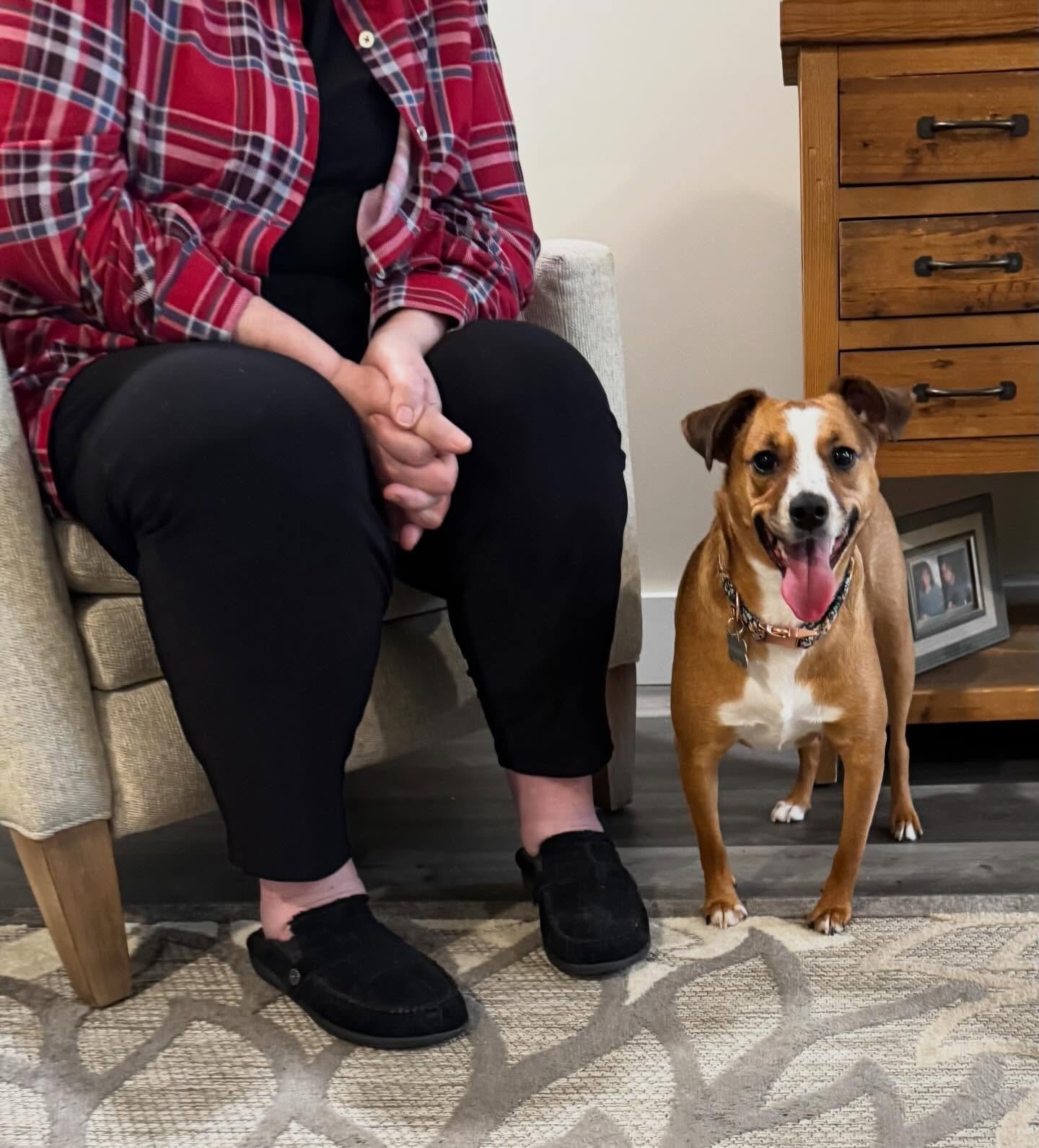 Rescue girl Journey has spent her life in conditions we can&rsquo;t even fathom, so watching her trust and blossom into such a playful pup gives us so much purpose. We&rsquo;re so proud of you, Journey girl!

#dogtraining #obedience #markertraining #