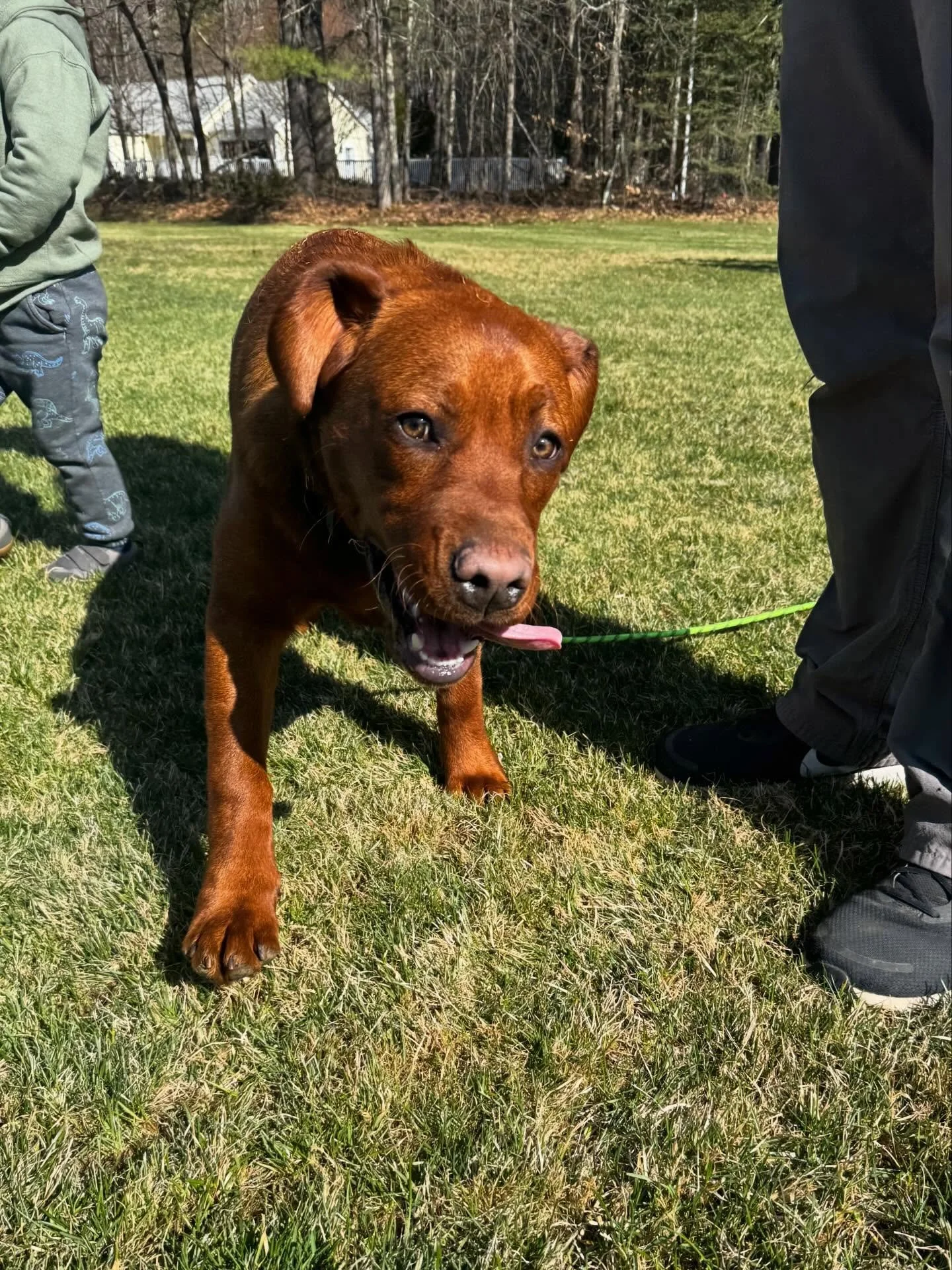 We bring you a John &amp; Cooper reunion in 8 parts 🤣❤️🐾

#dogtraining #obedience #markertraining #cooper #iamgreatbayk9