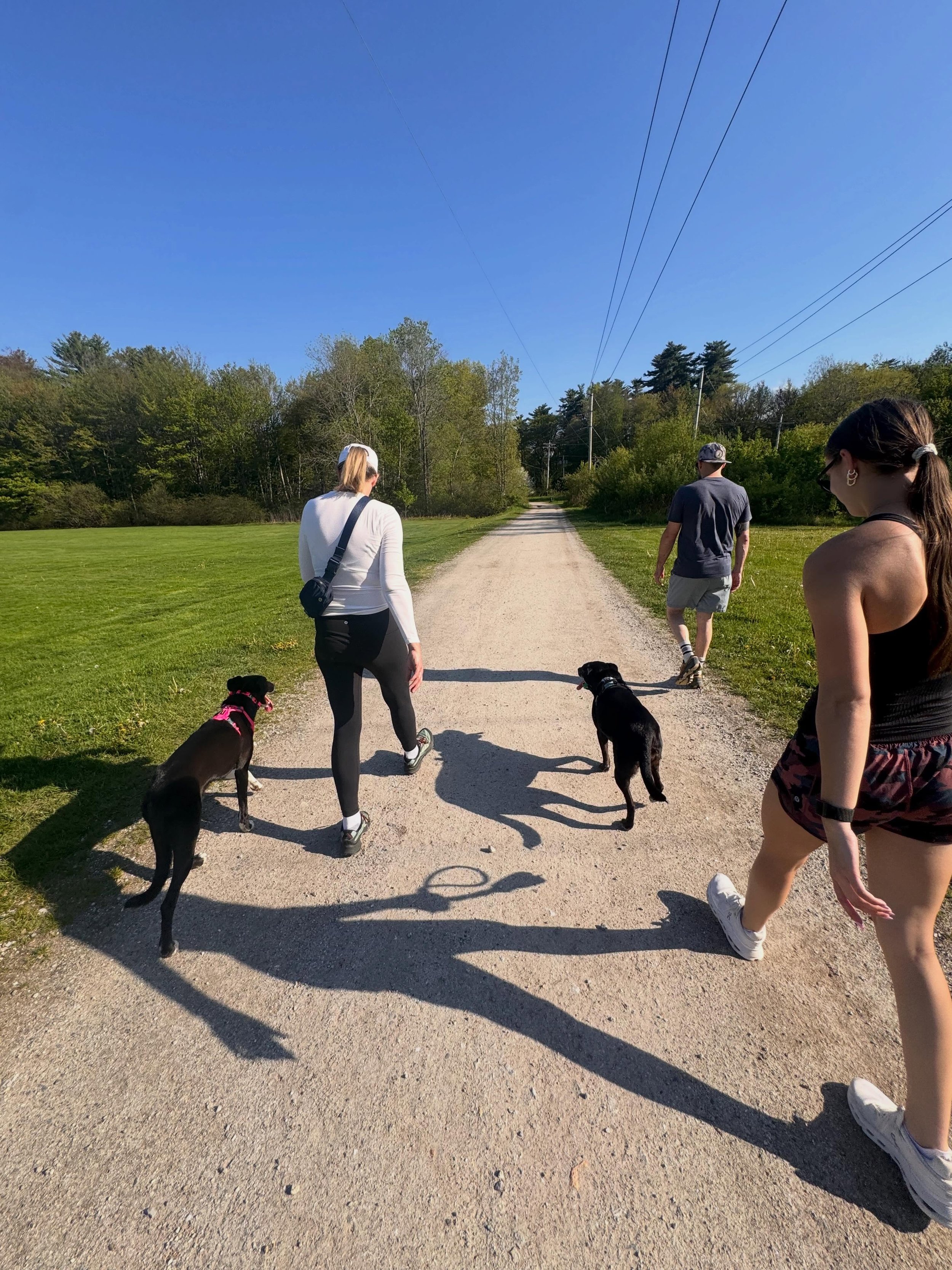 Off-leash adventures with Tilly &amp; Scout, just add water! 

#dogtraining #obedience #markertraining #ecollartraining #iamgreatbayk9