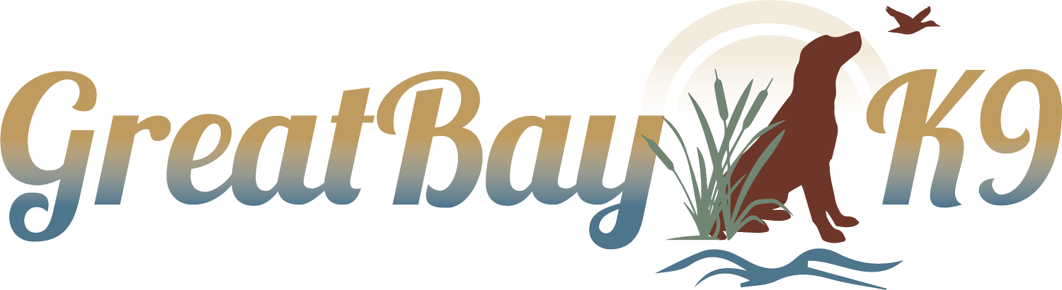 Great Bay K9