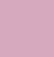 Pink Tiger Films