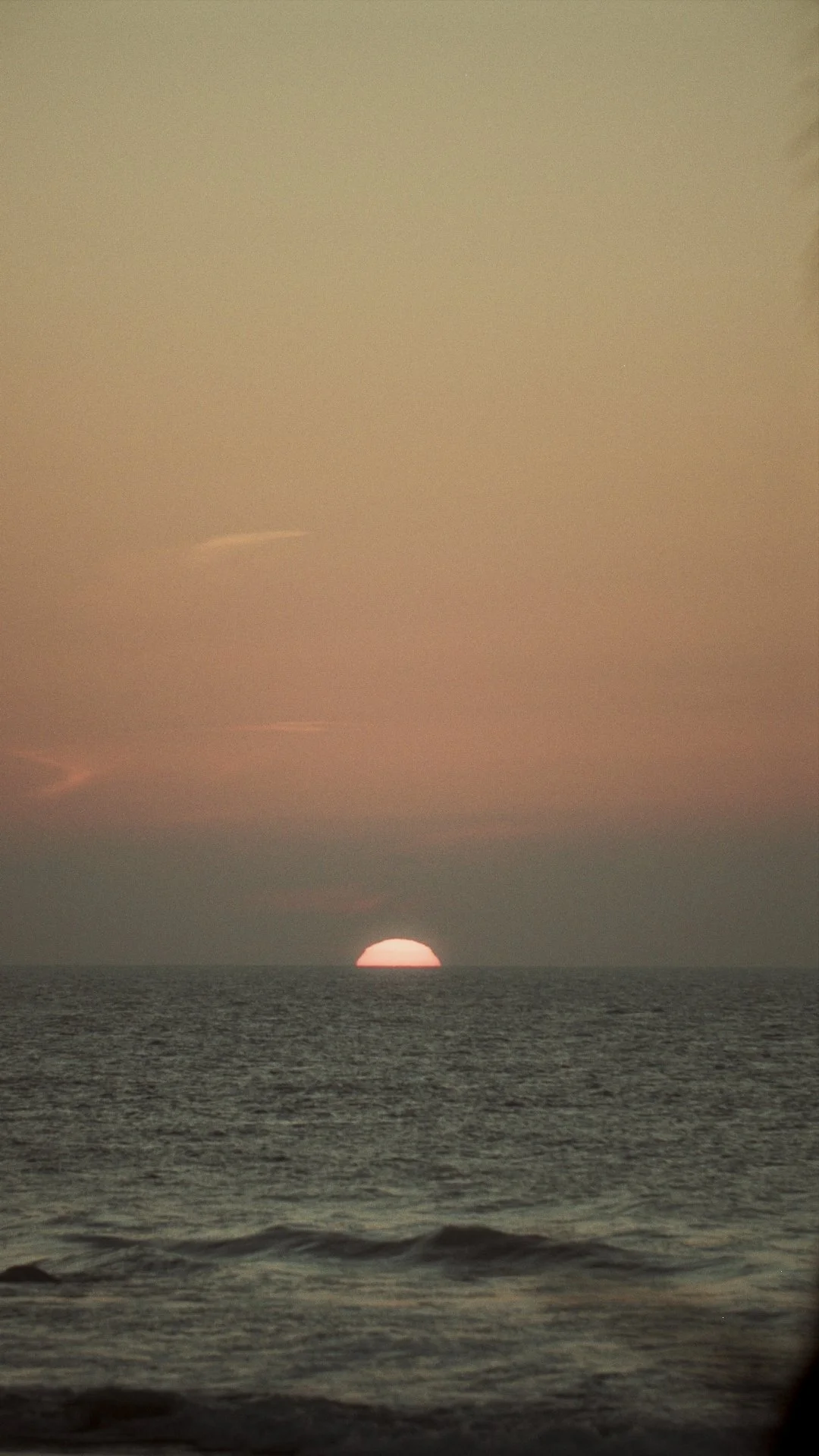 Untitled_1.247.1.jpg