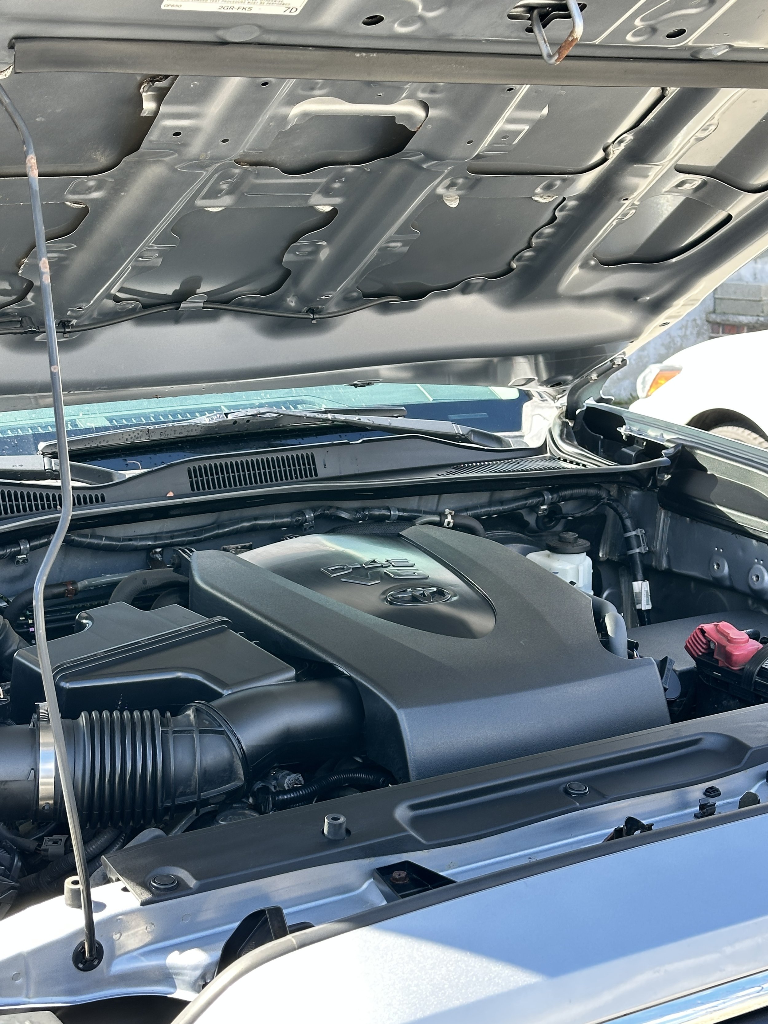 Engine Bay Cleaning