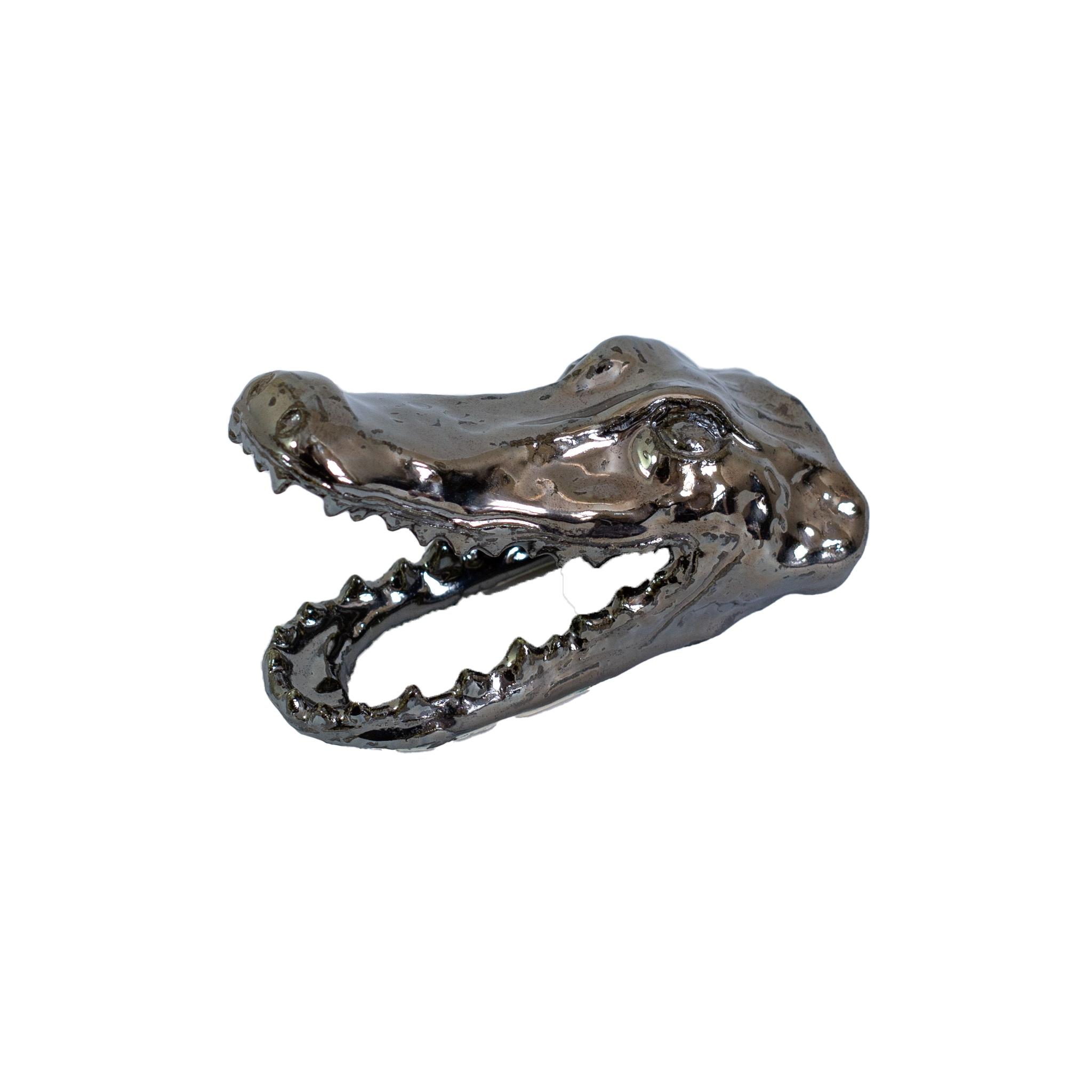 Untitled Crocodile Head