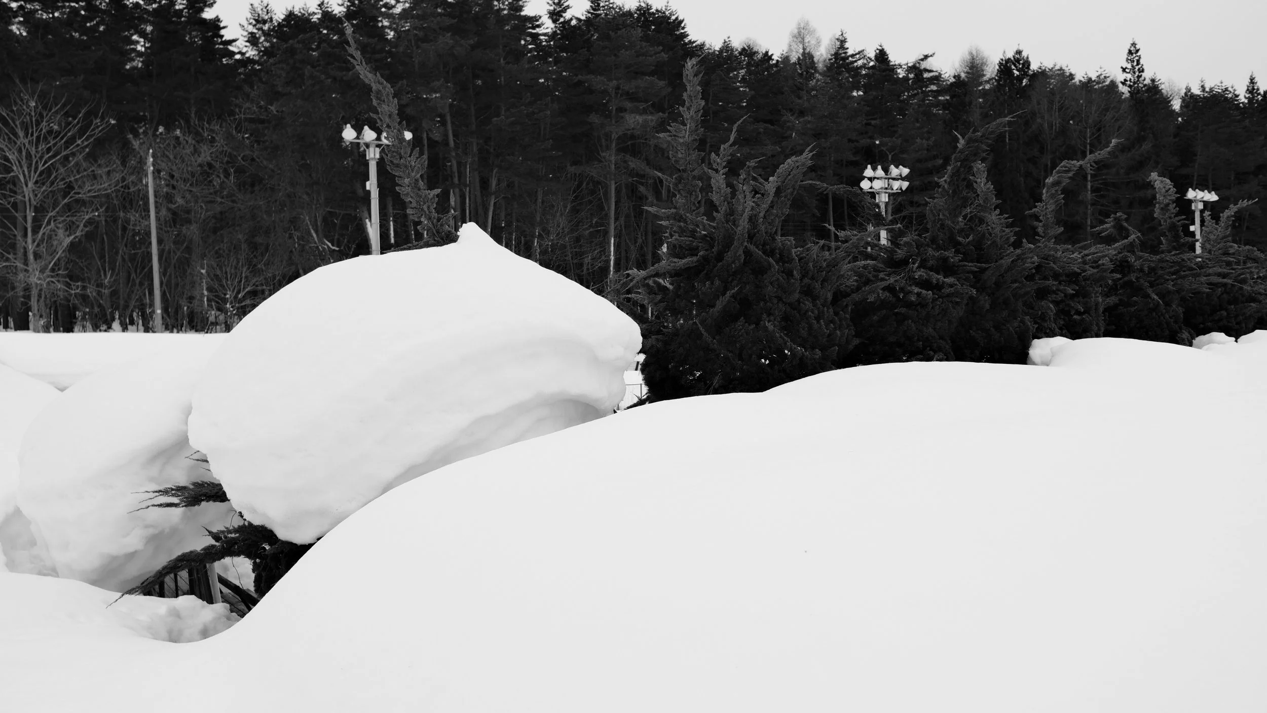 The Sorrowful Football Team 哀悼足球隊|Exhibition