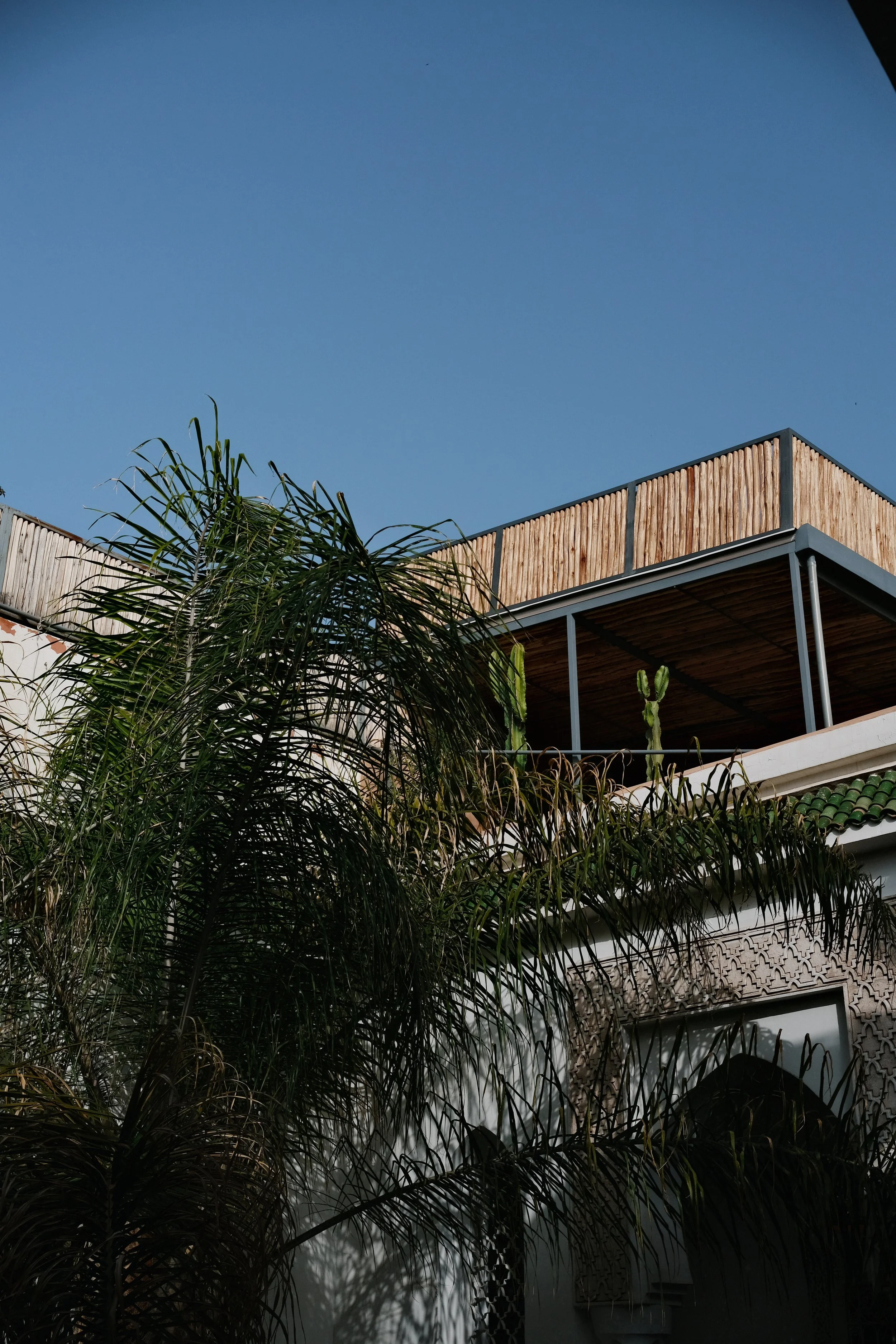 AfterlightImage 23.JPG